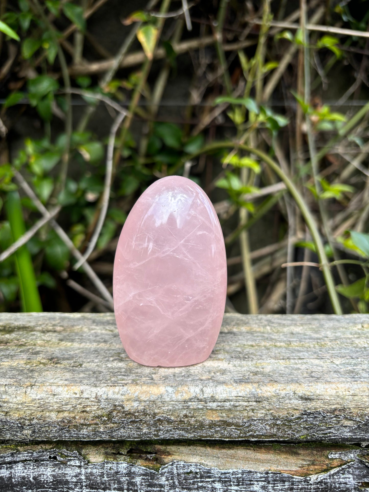 Rose Quartz Free Form C