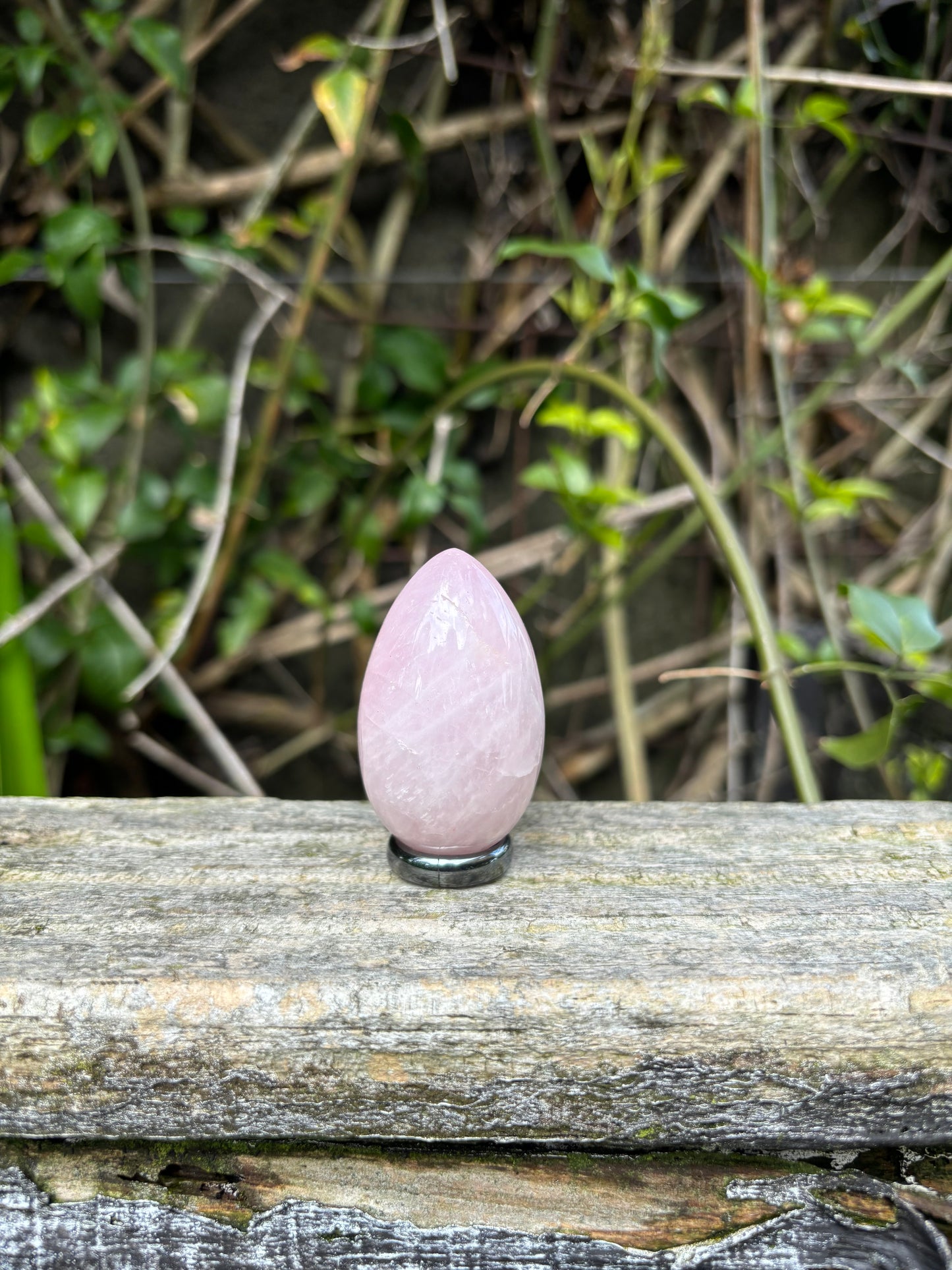 Rose Quartz Egg A