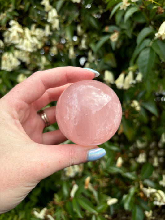 Rose Quartz Star Sphere B