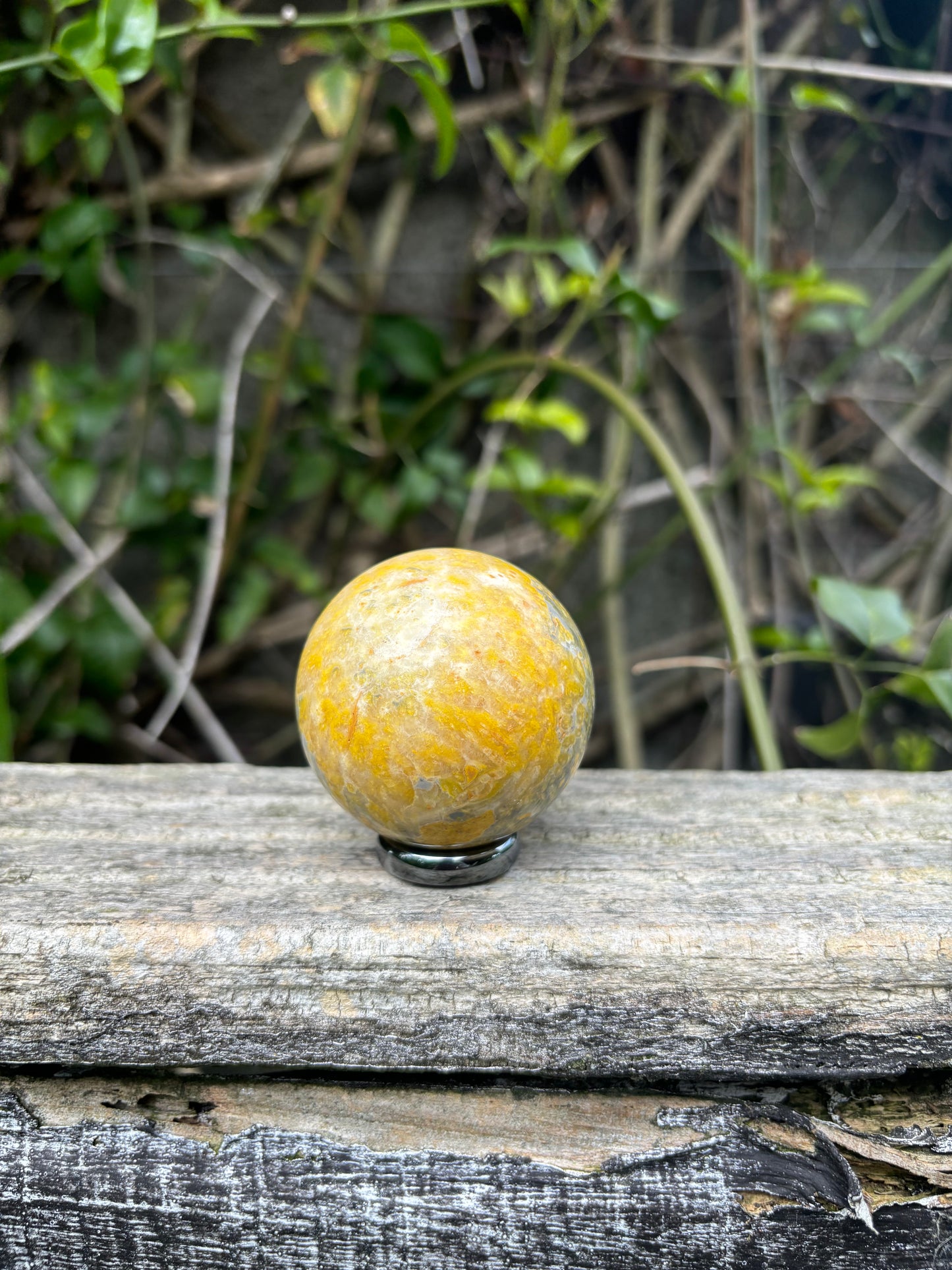 Bumble Bee Jasper Sphere B