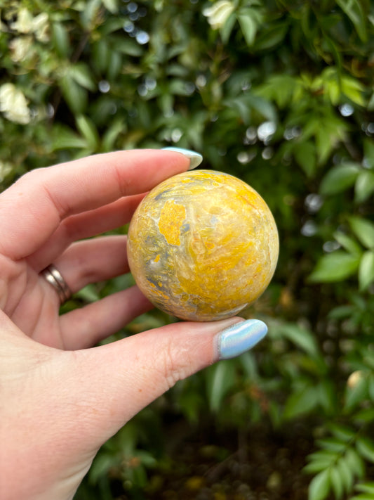 Bumble Bee Jasper Sphere B