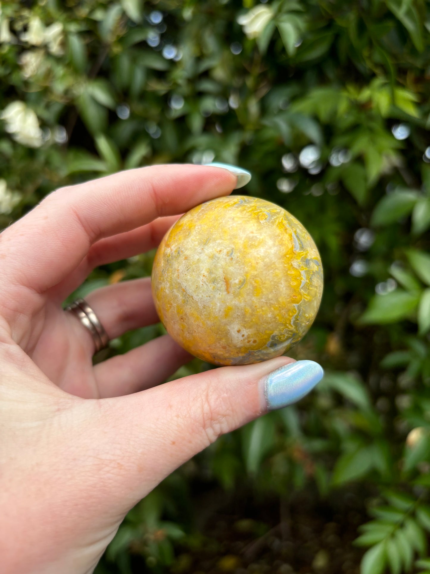 Bumble Bee Jasper Sphere B