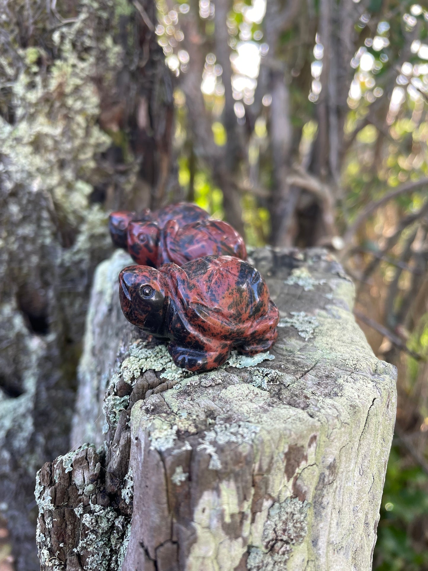 Mahogany Obsidian Turtle