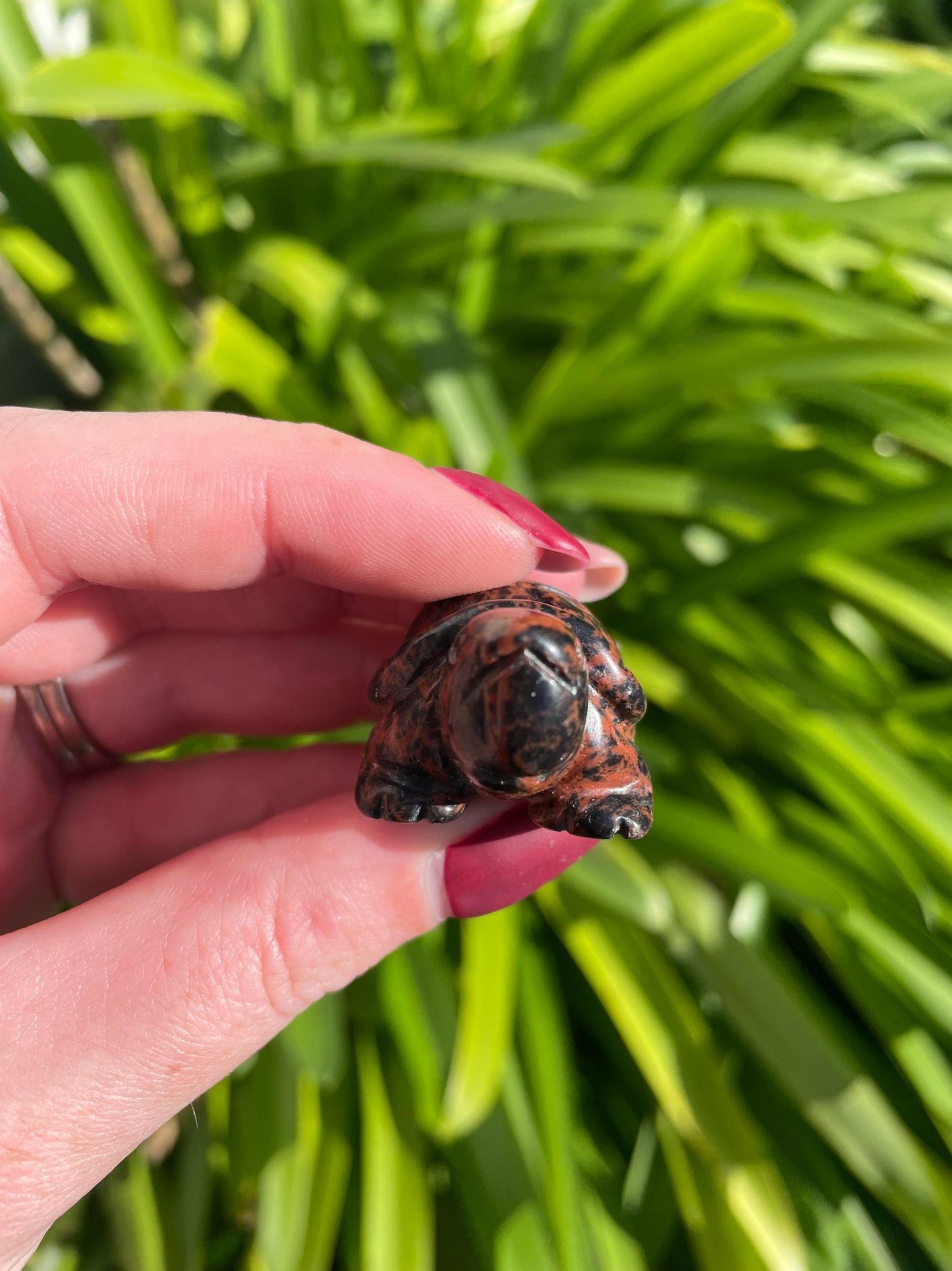 Mahogany Obsidian Turtle