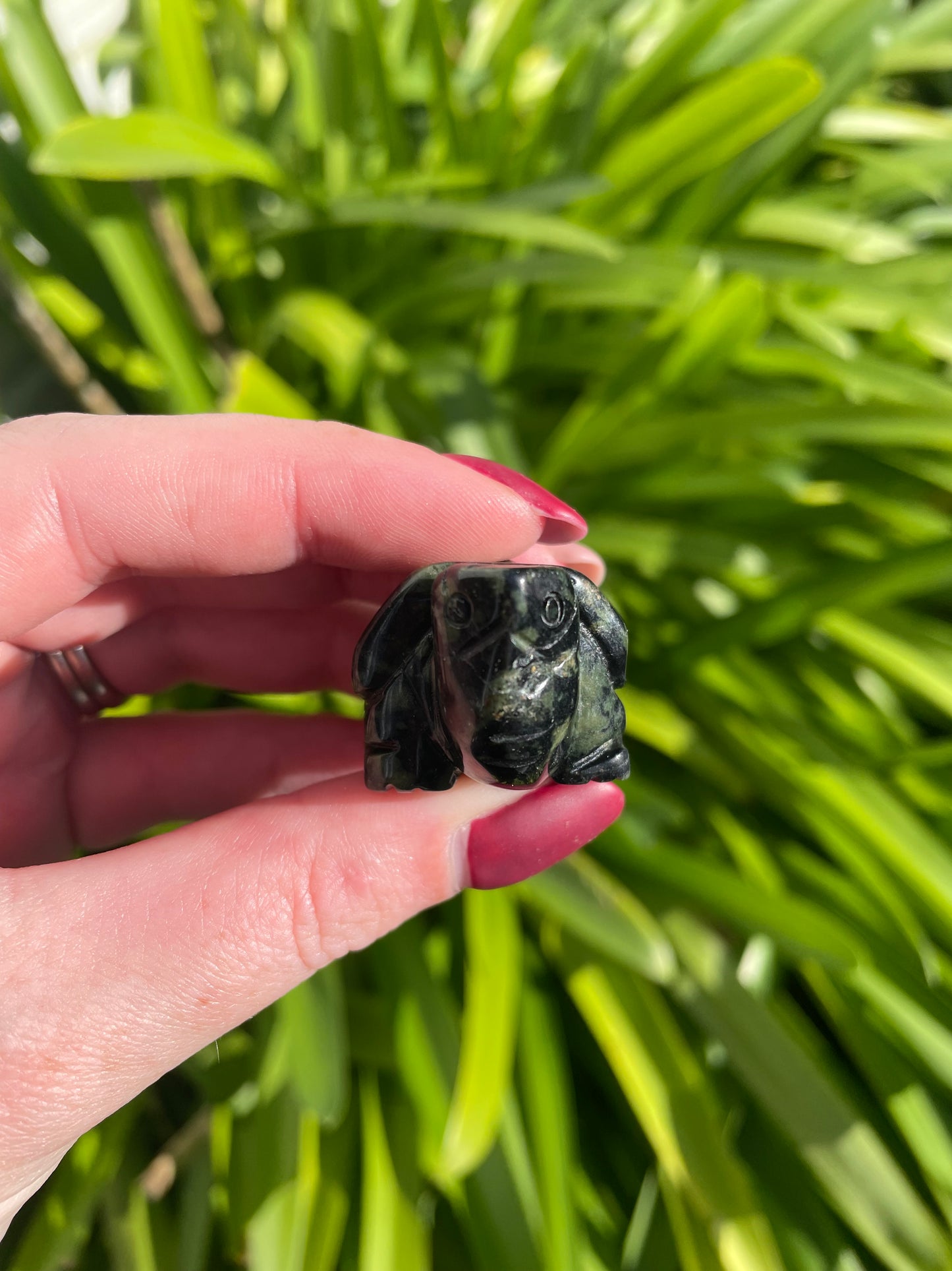 Kambaba Jasper Turtle