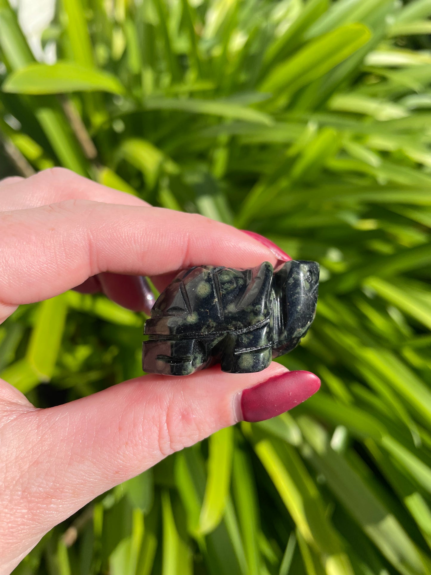 Kambaba Jasper Turtle