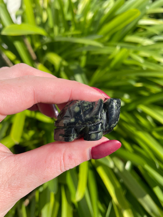 Kambaba Jasper Turtle