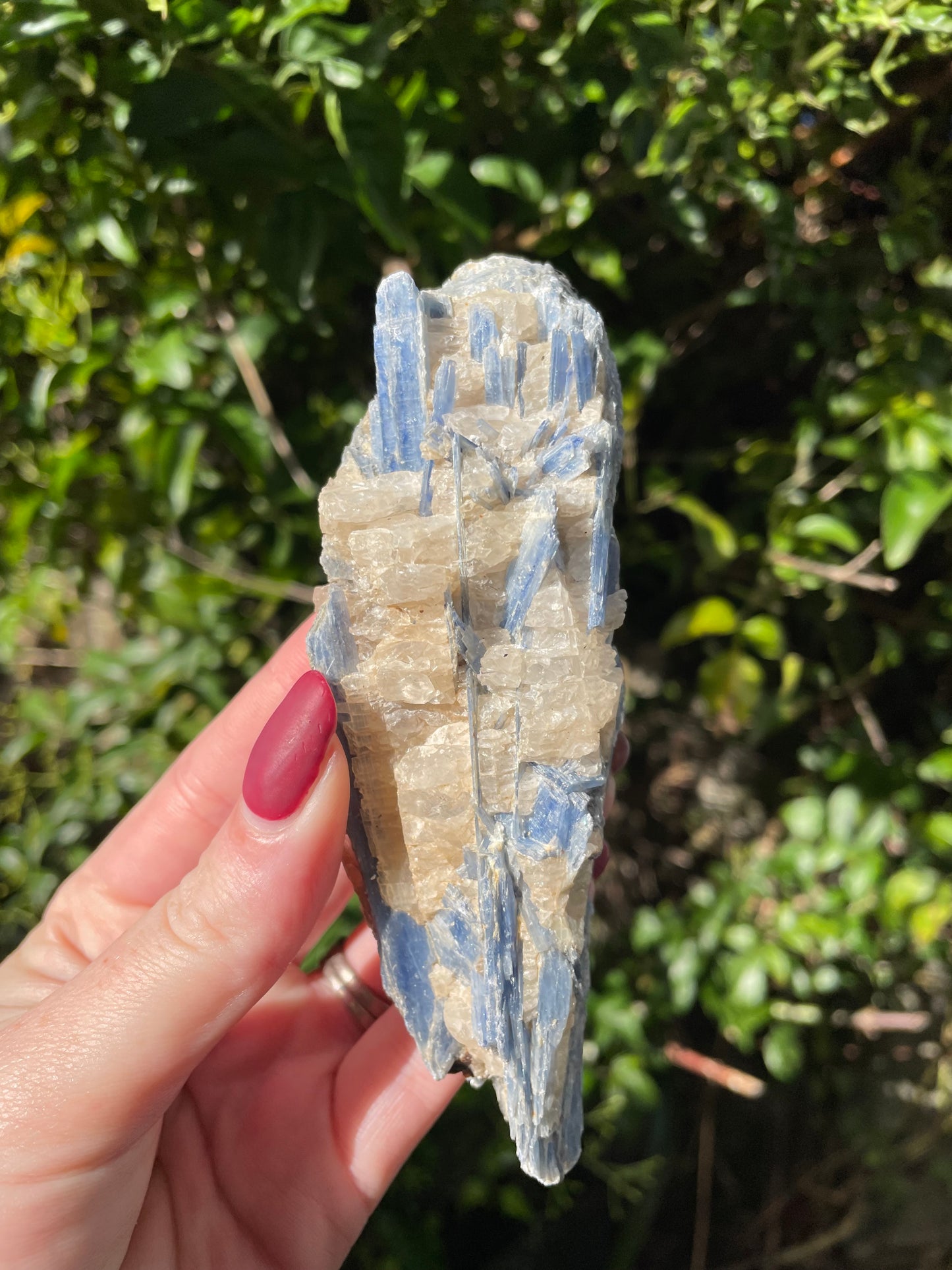 Blue Kyanite Piece B