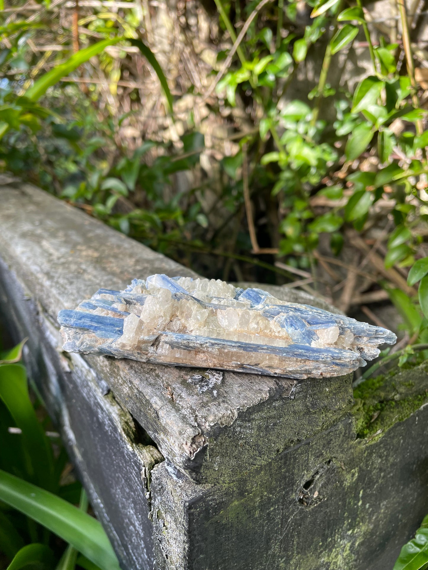 Blue Kyanite Piece B