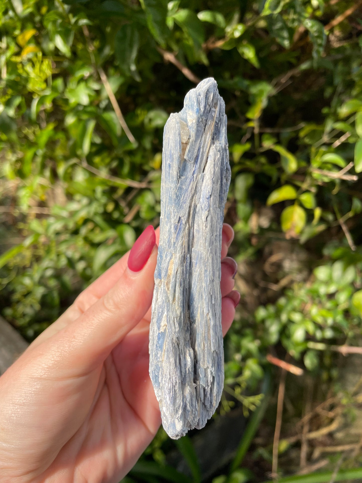 Blue Kyanite Piece D