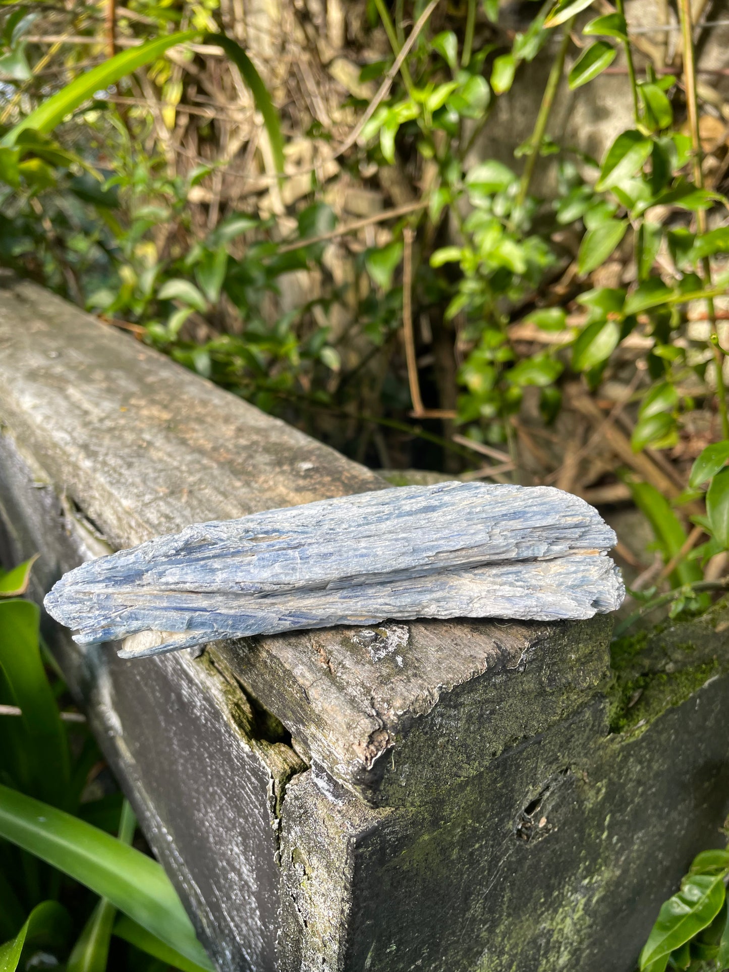 Blue Kyanite Piece D