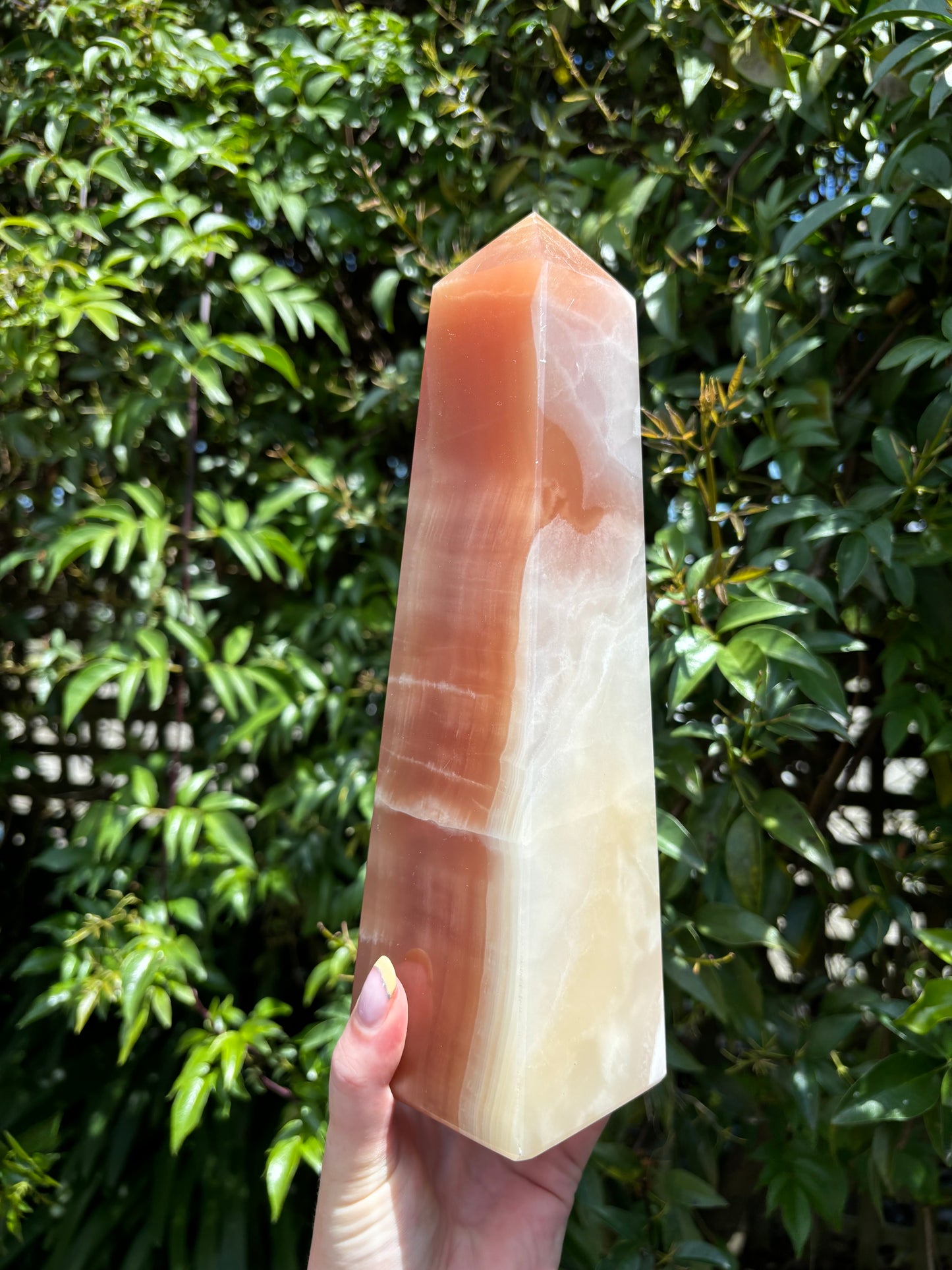 Honey Calcite Large Point 2kgs