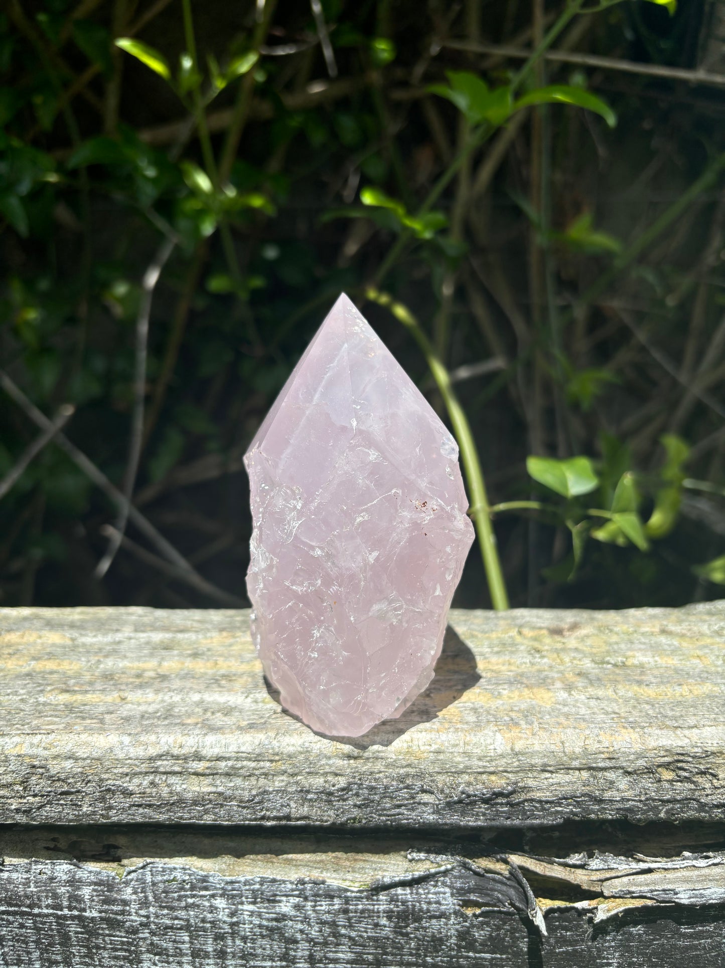 Rose Quartz Semi Polished Point A