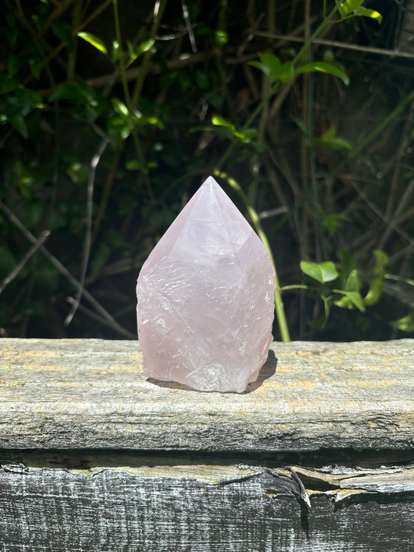 Rose Quartz Semi Polished Point A