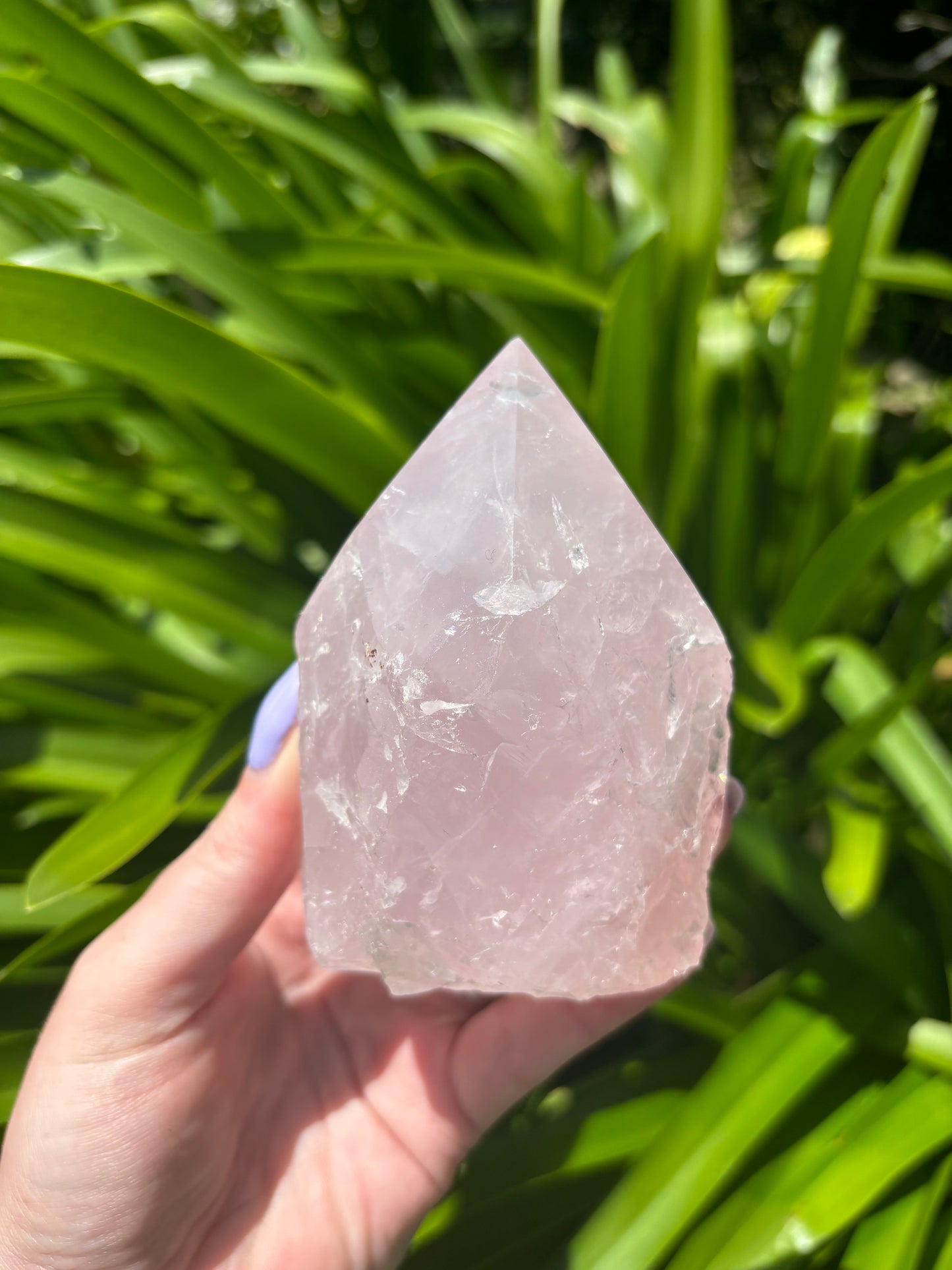 Rose Quartz Semi Polished Point A