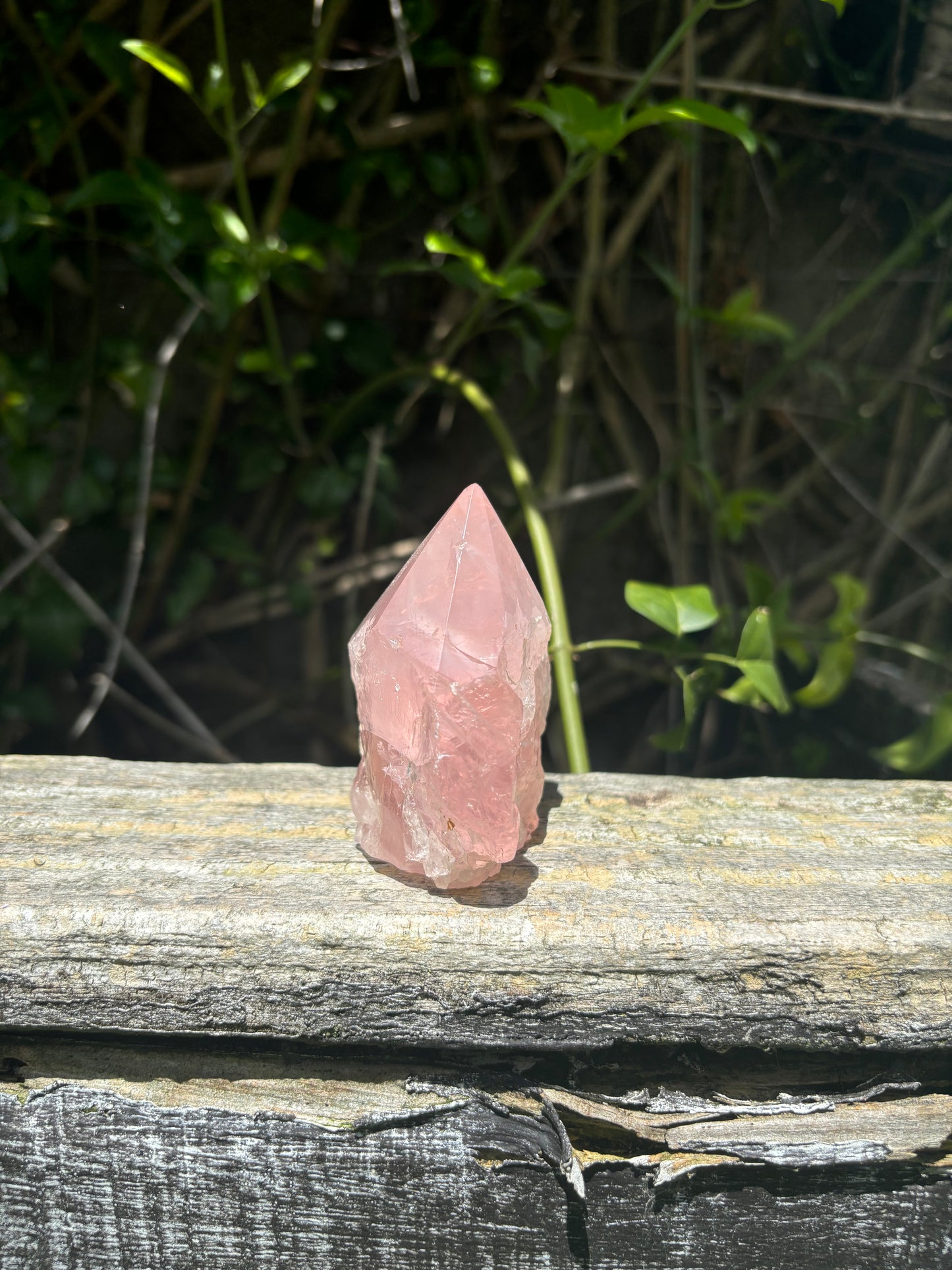 Rose Quartz Semi Polished Point B