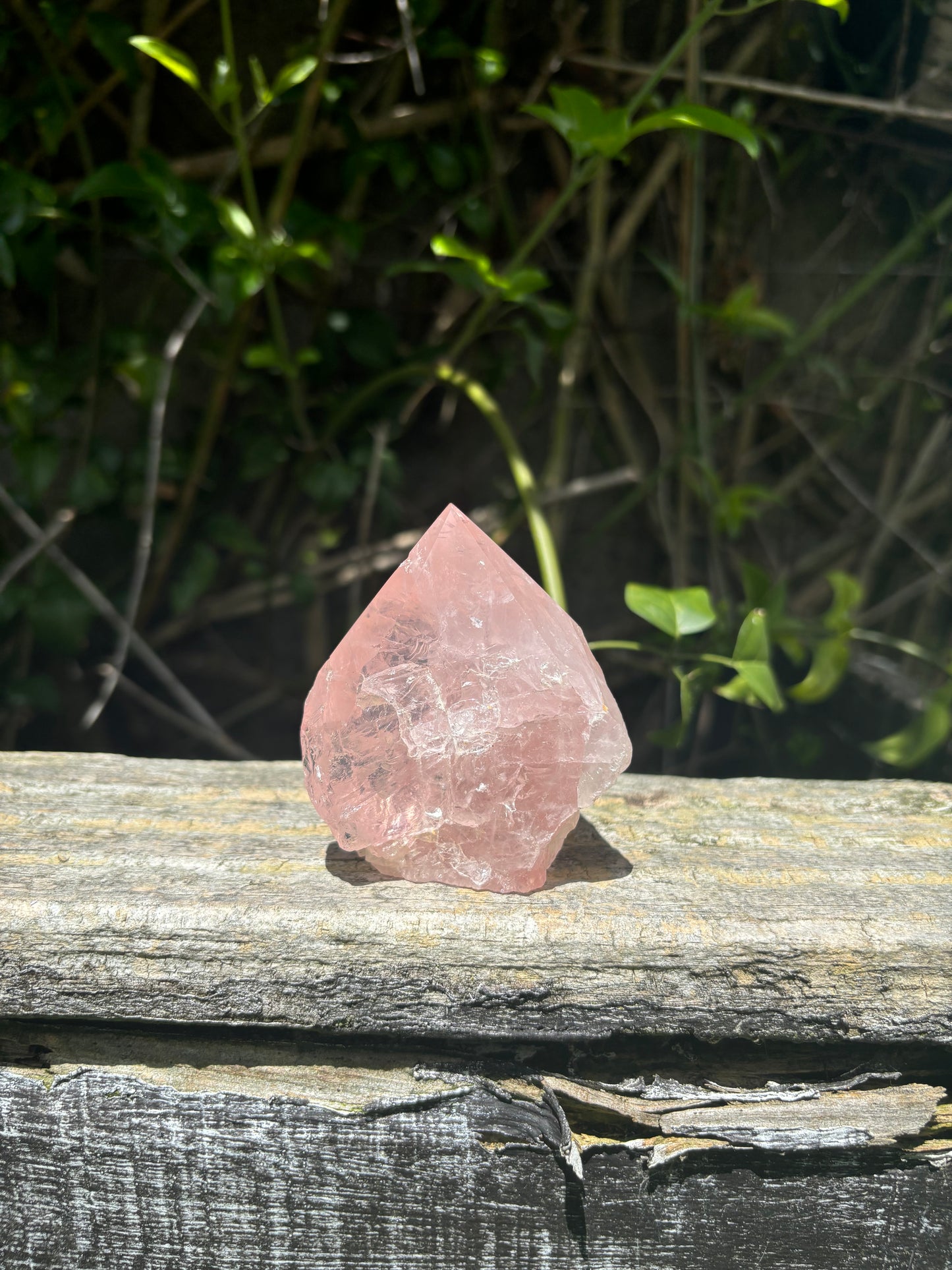 Rose Quartz Semi Polished Point B