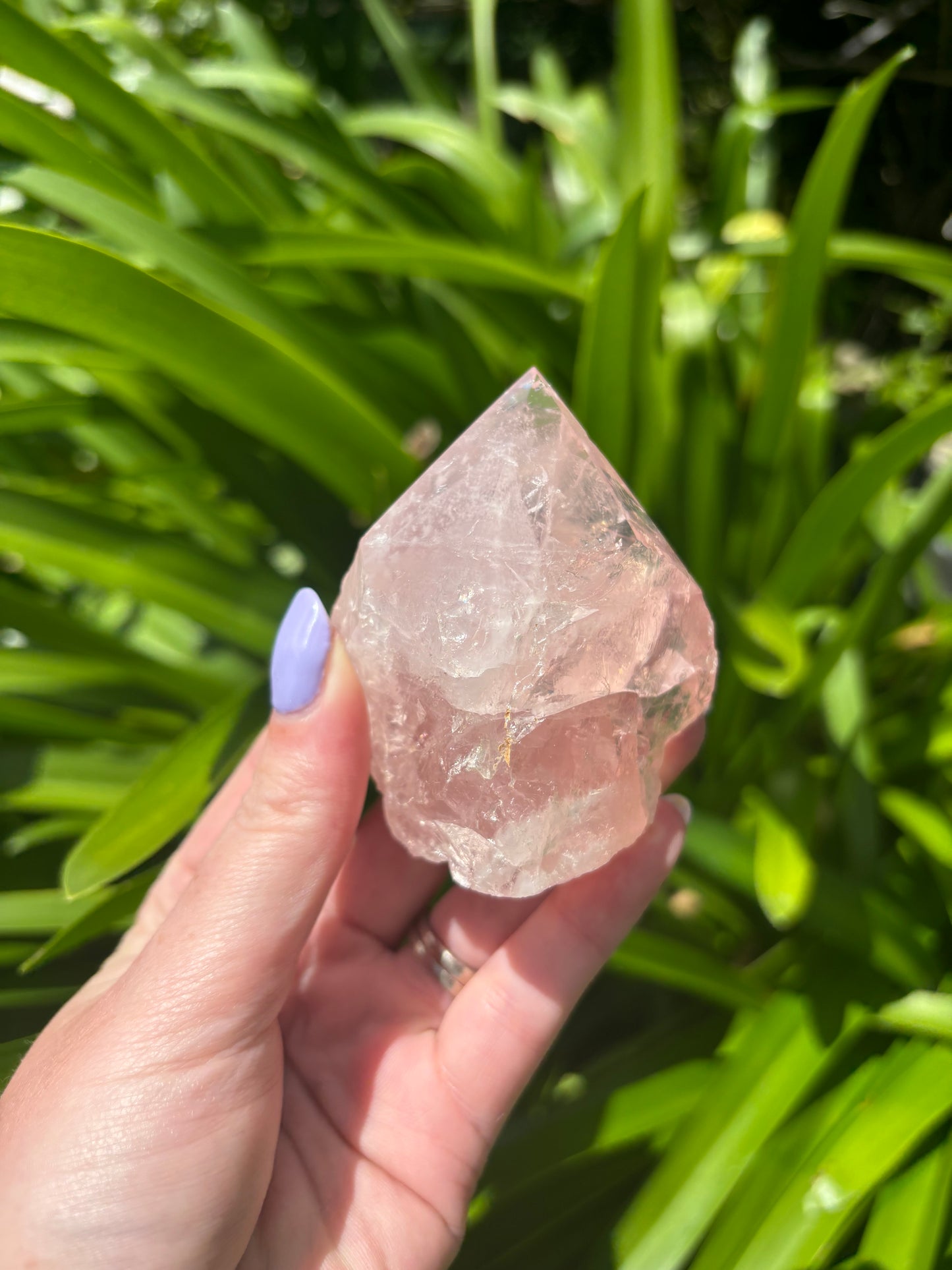 Rose Quartz Semi Polished Point B