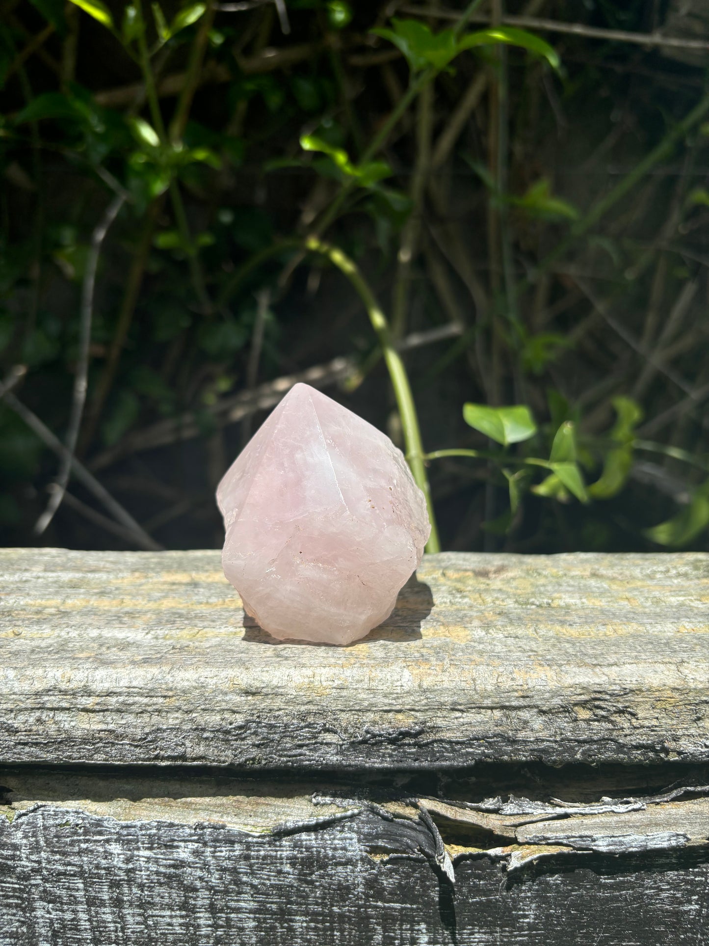 Rose Quartz Semi Polished Point C