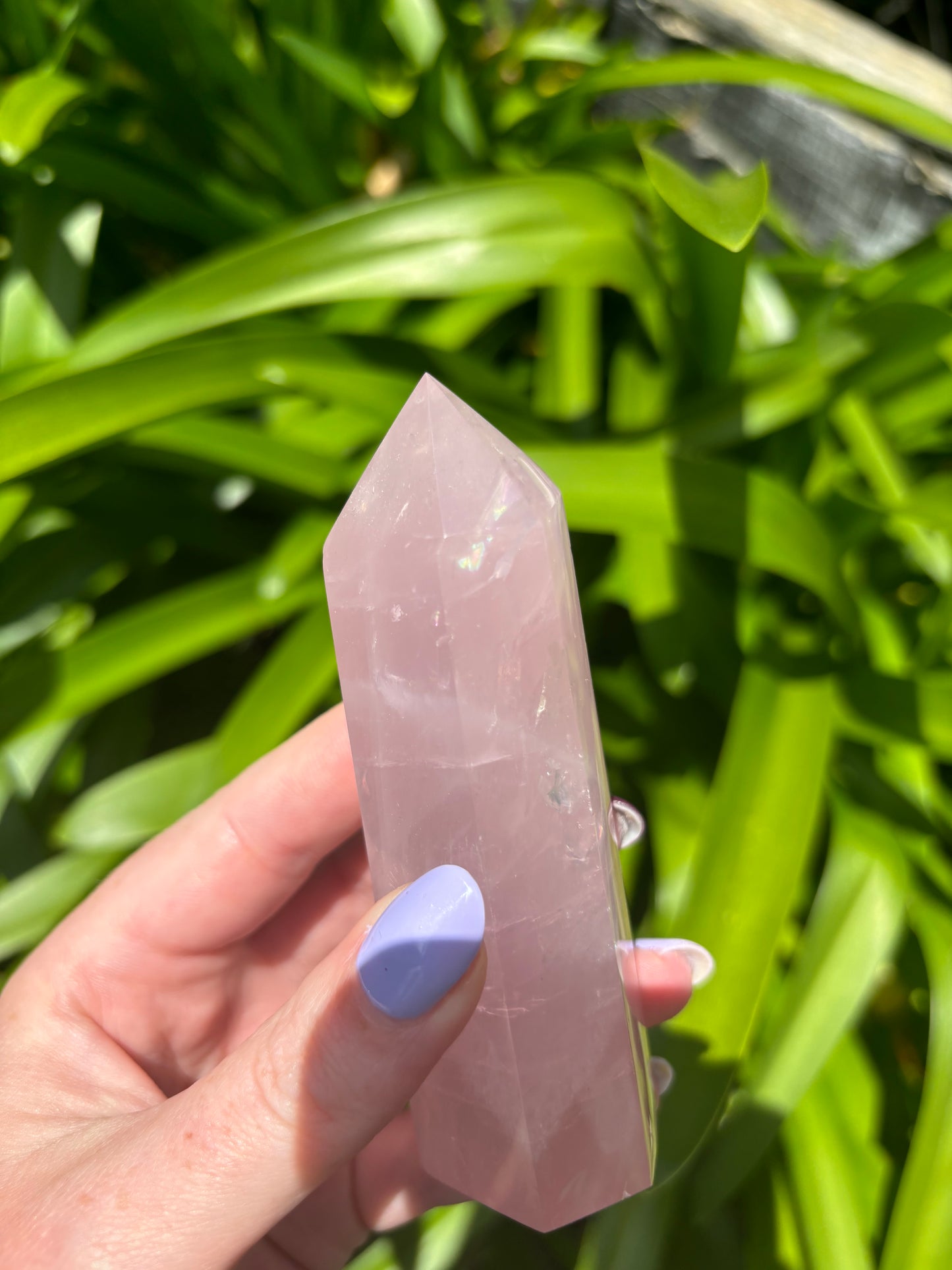 Rose Quartz Polished Point A