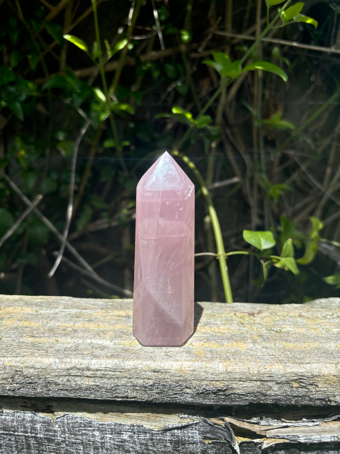 Rose Quartz Polished Point A