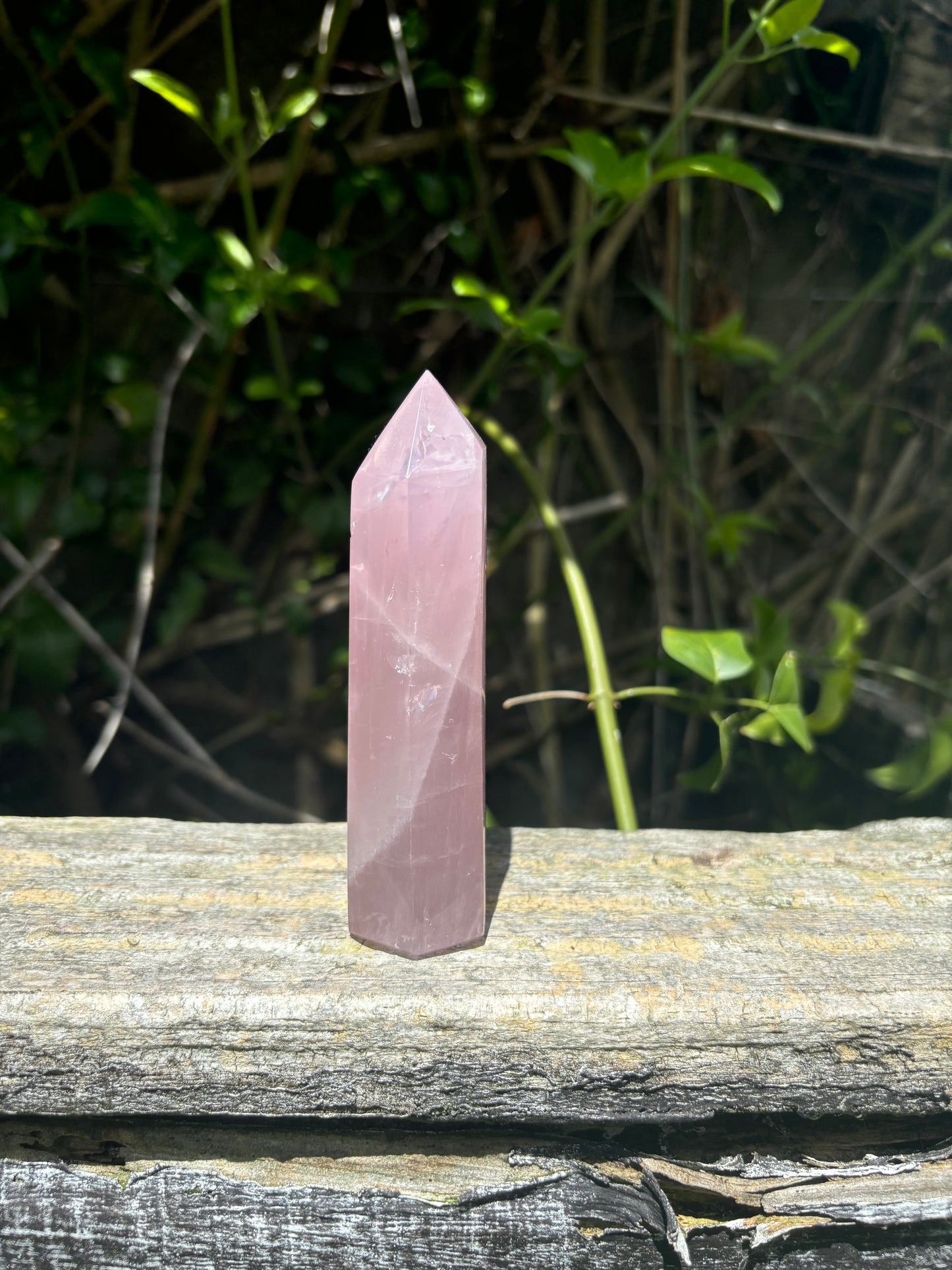 Rose Quartz Polished Point A