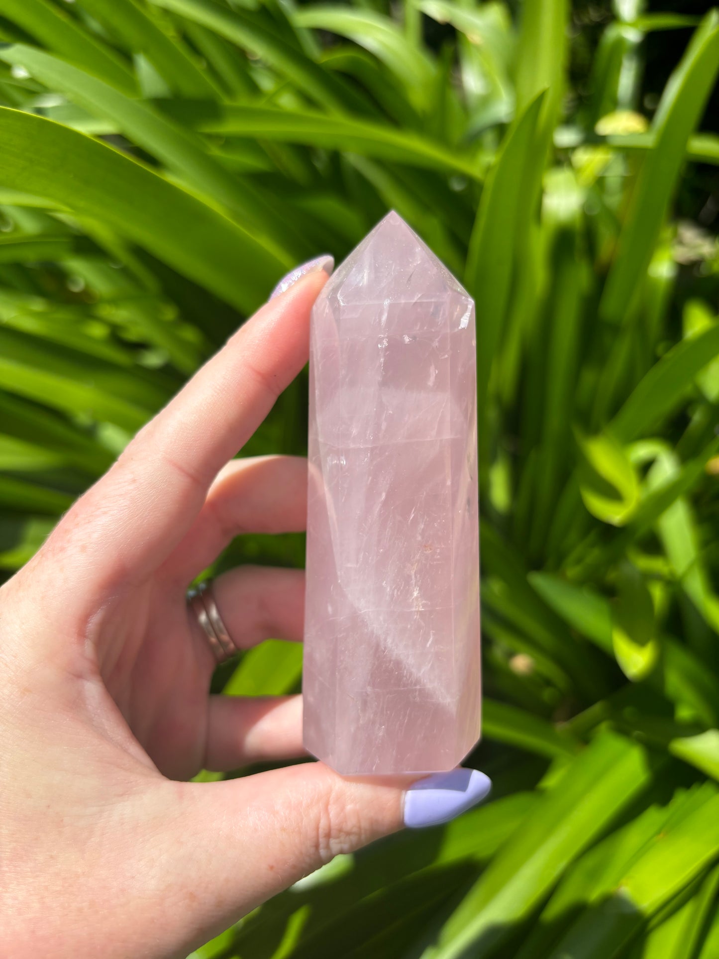 Rose Quartz Polished Point A