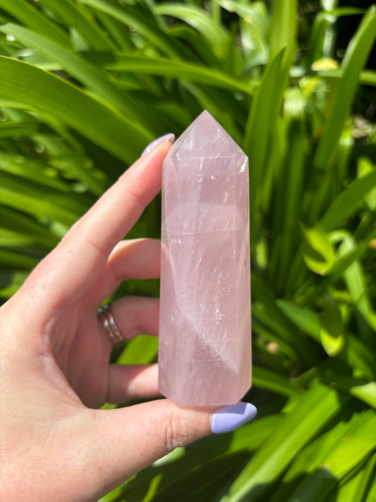 Rose Quartz Polished Point A