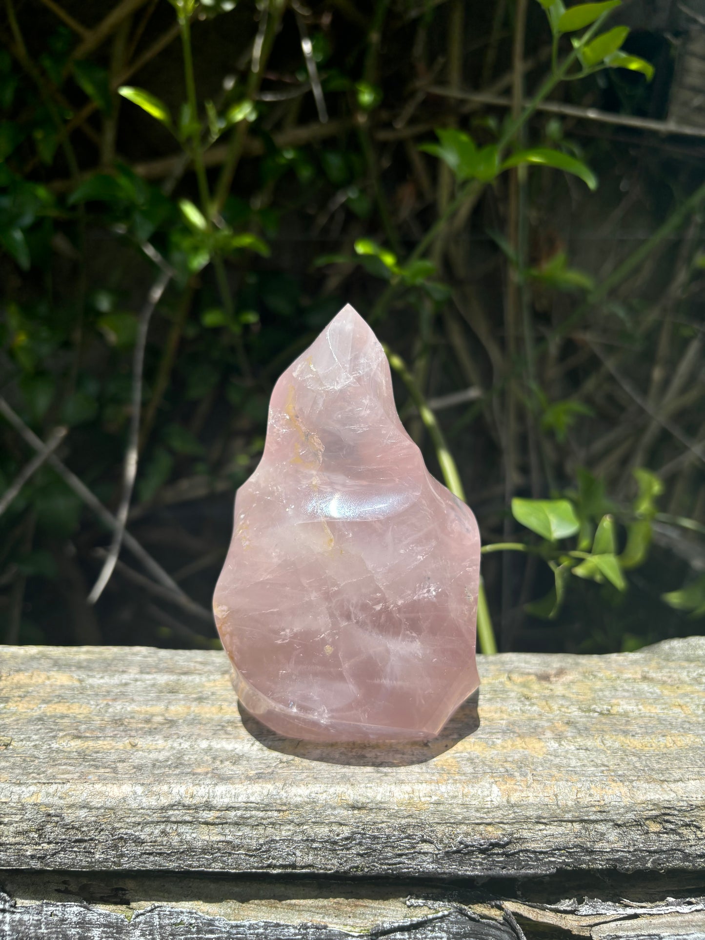 Rose Quartz Polished Flame B