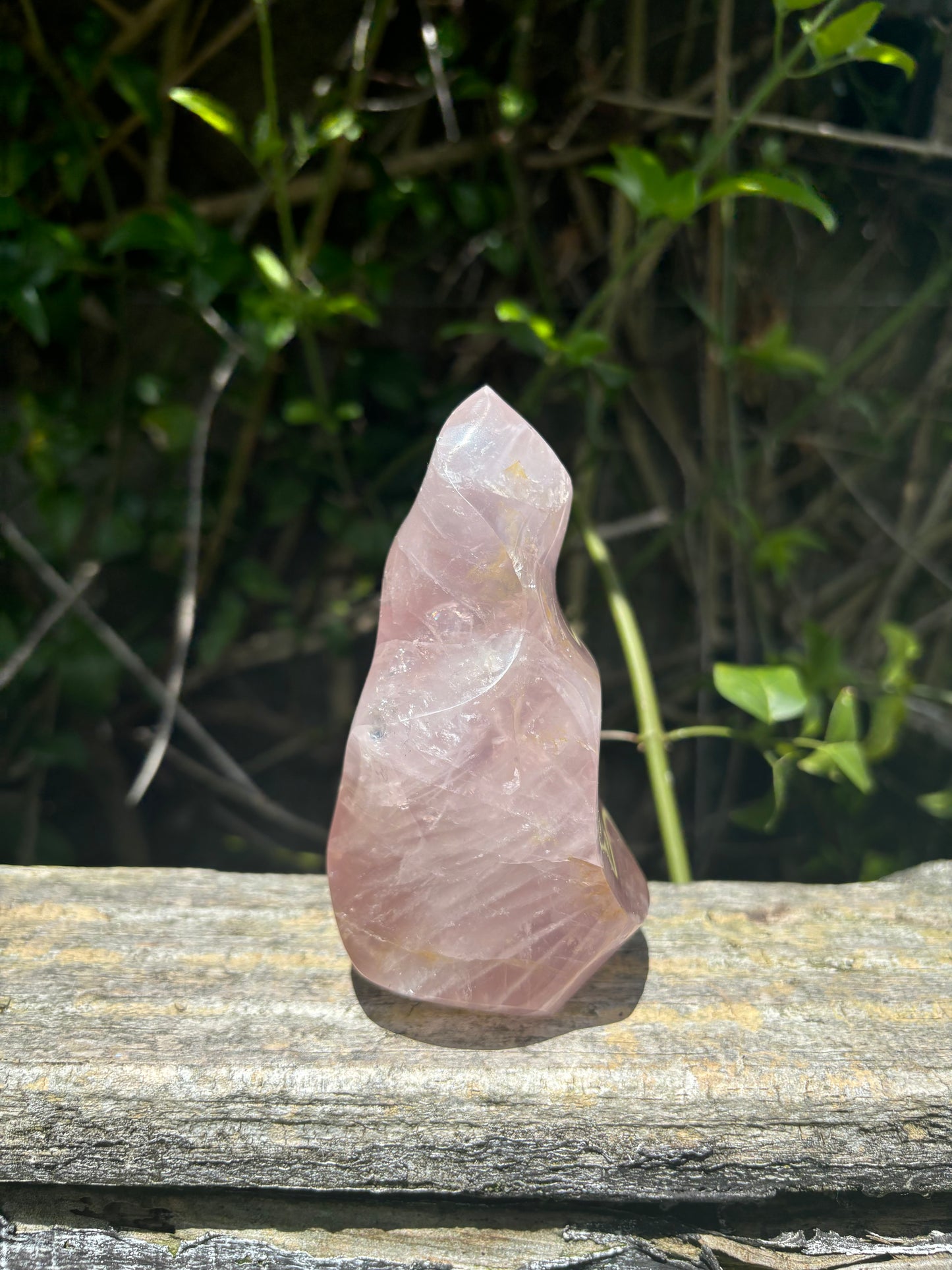 Rose Quartz Polished Flame B