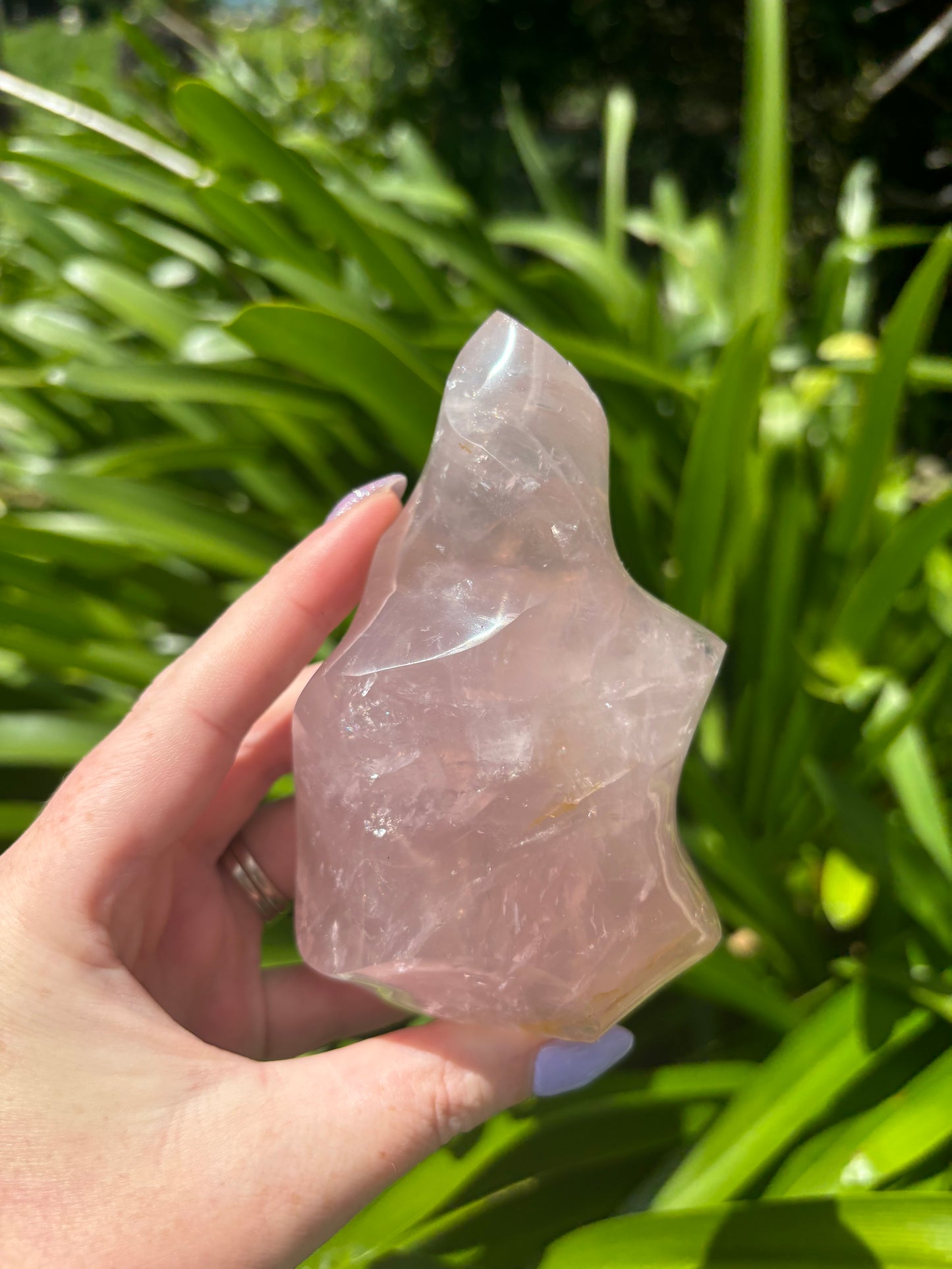 Rose Quartz Polished Flame B