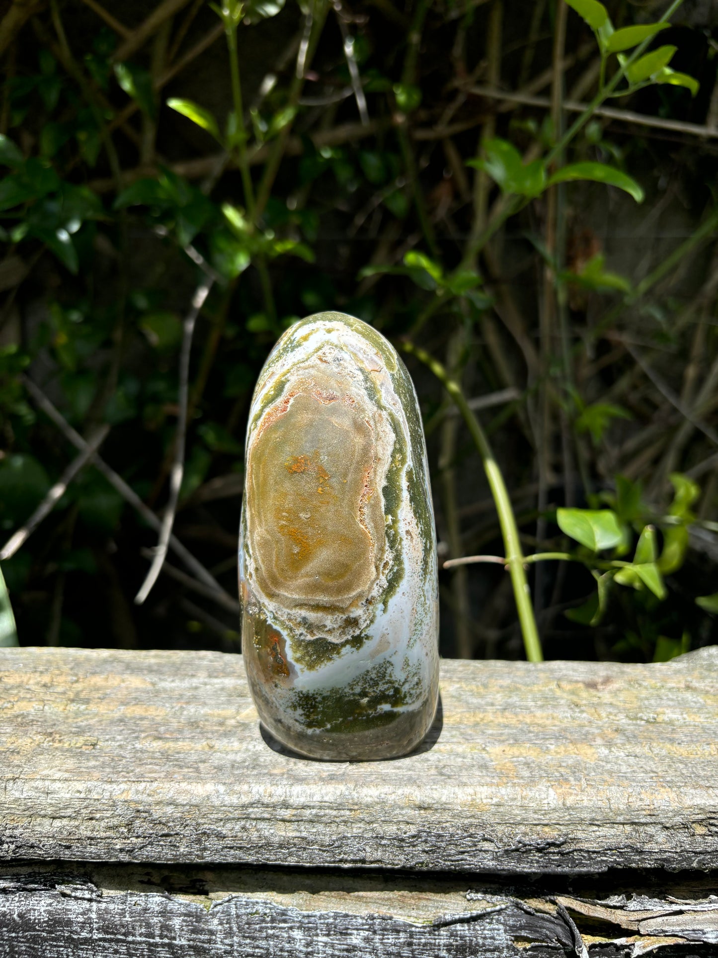 Ocean Jasper Free Form B