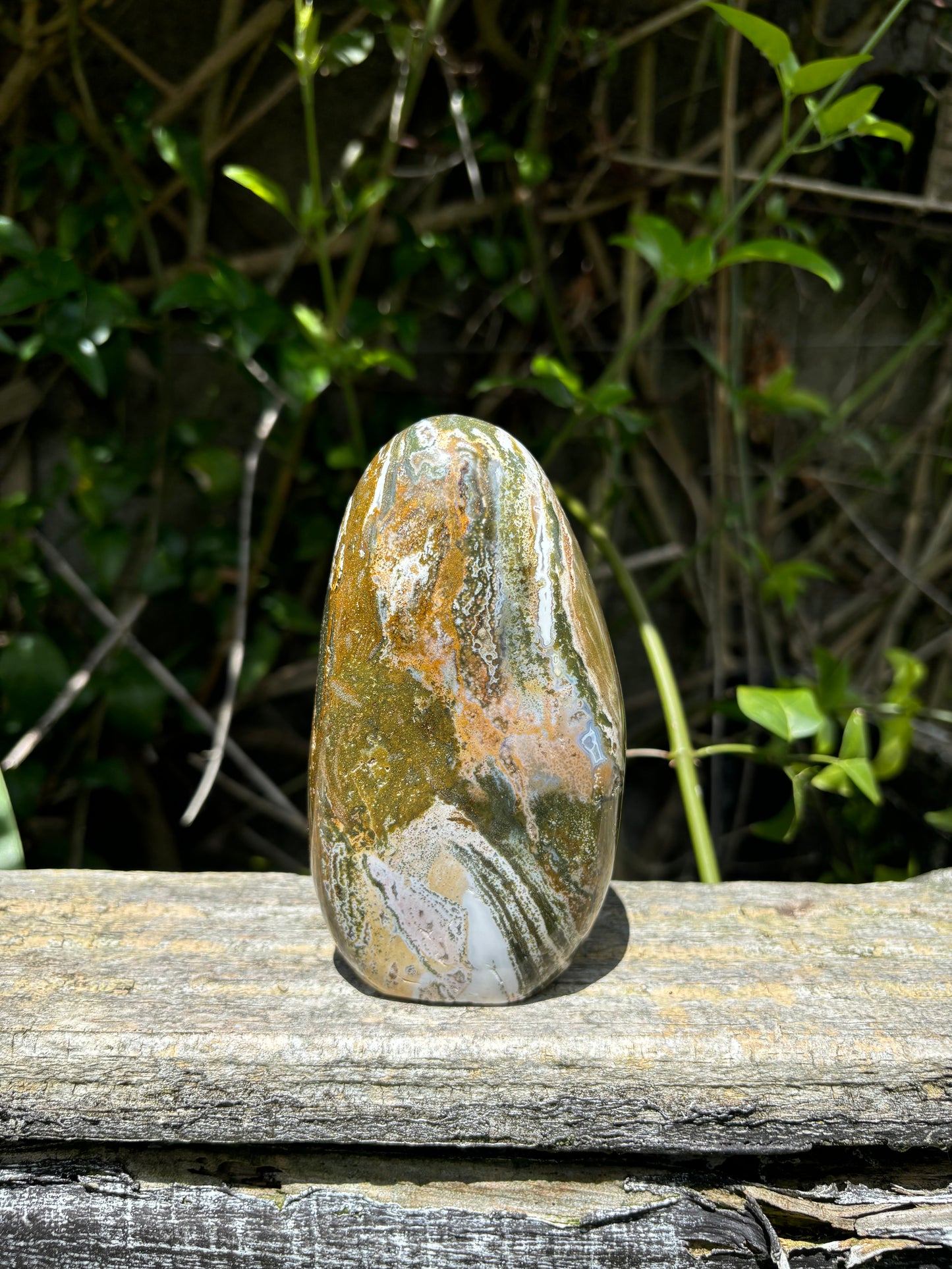 Ocean Jasper Free Form B