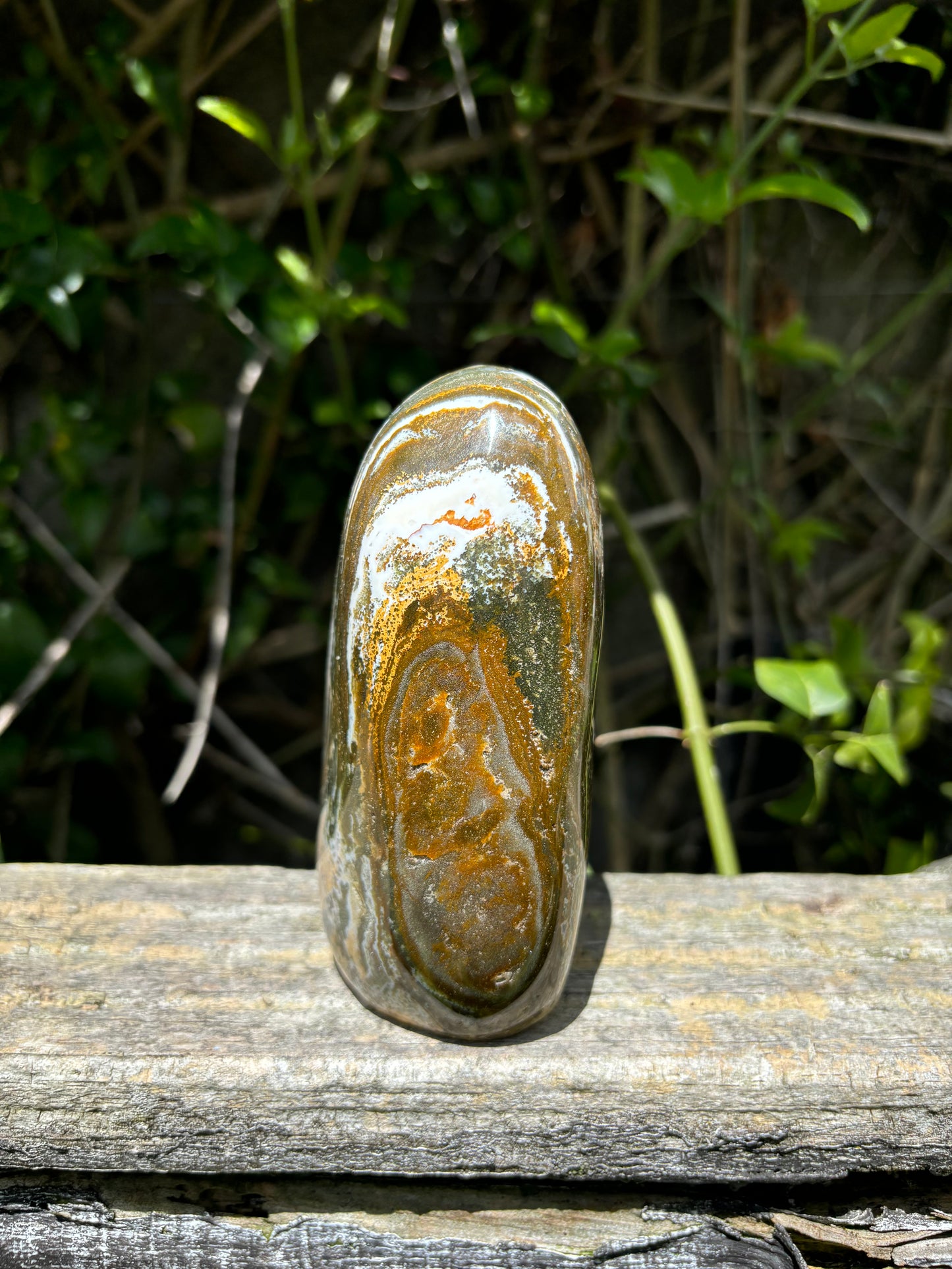 Ocean Jasper Free Form B