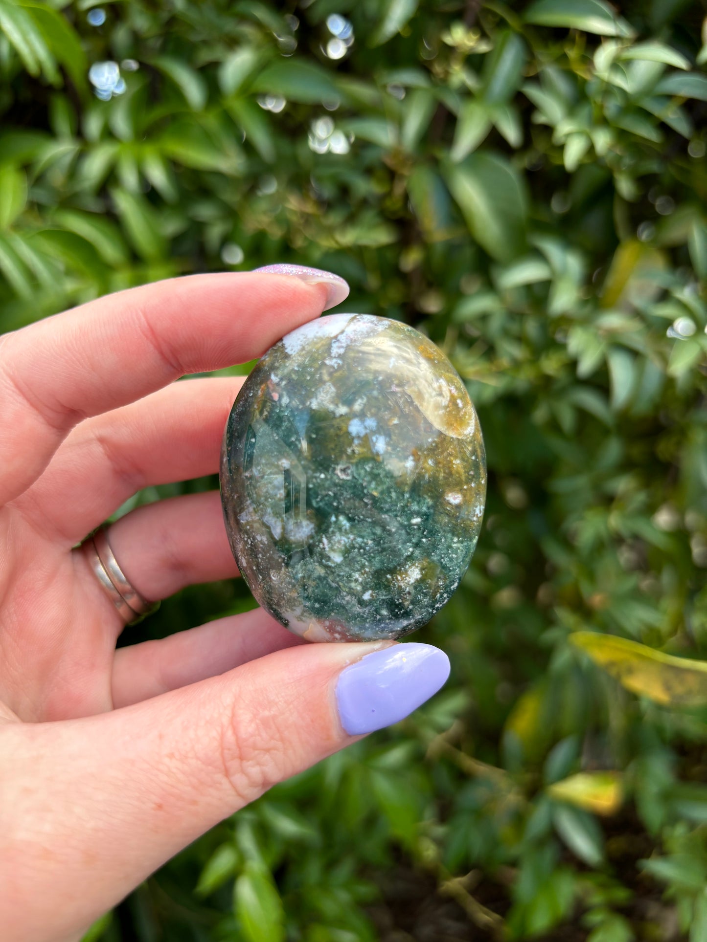 Ocean Jasper Palm Stone C