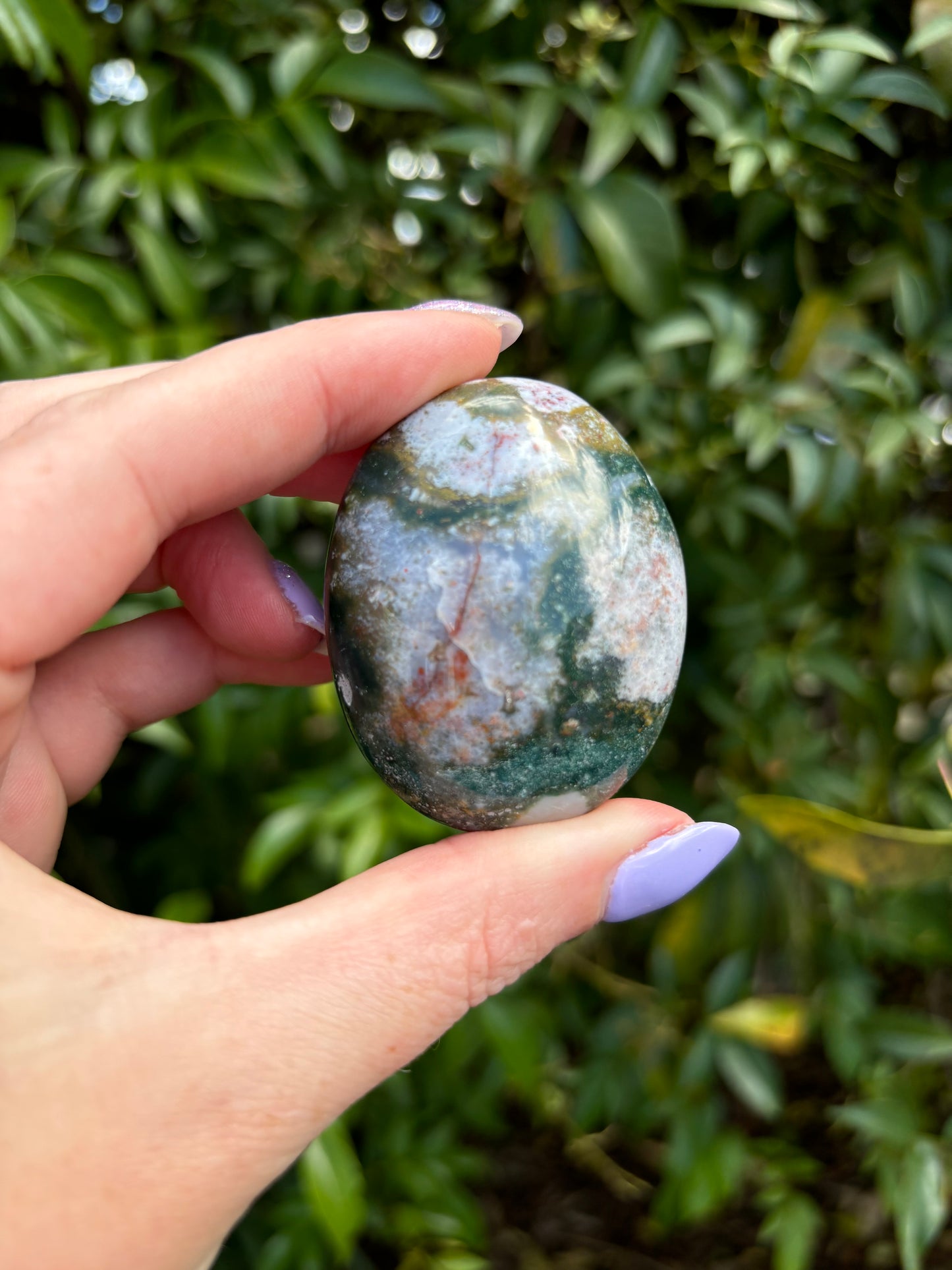 Ocean Jasper Palm Stone C