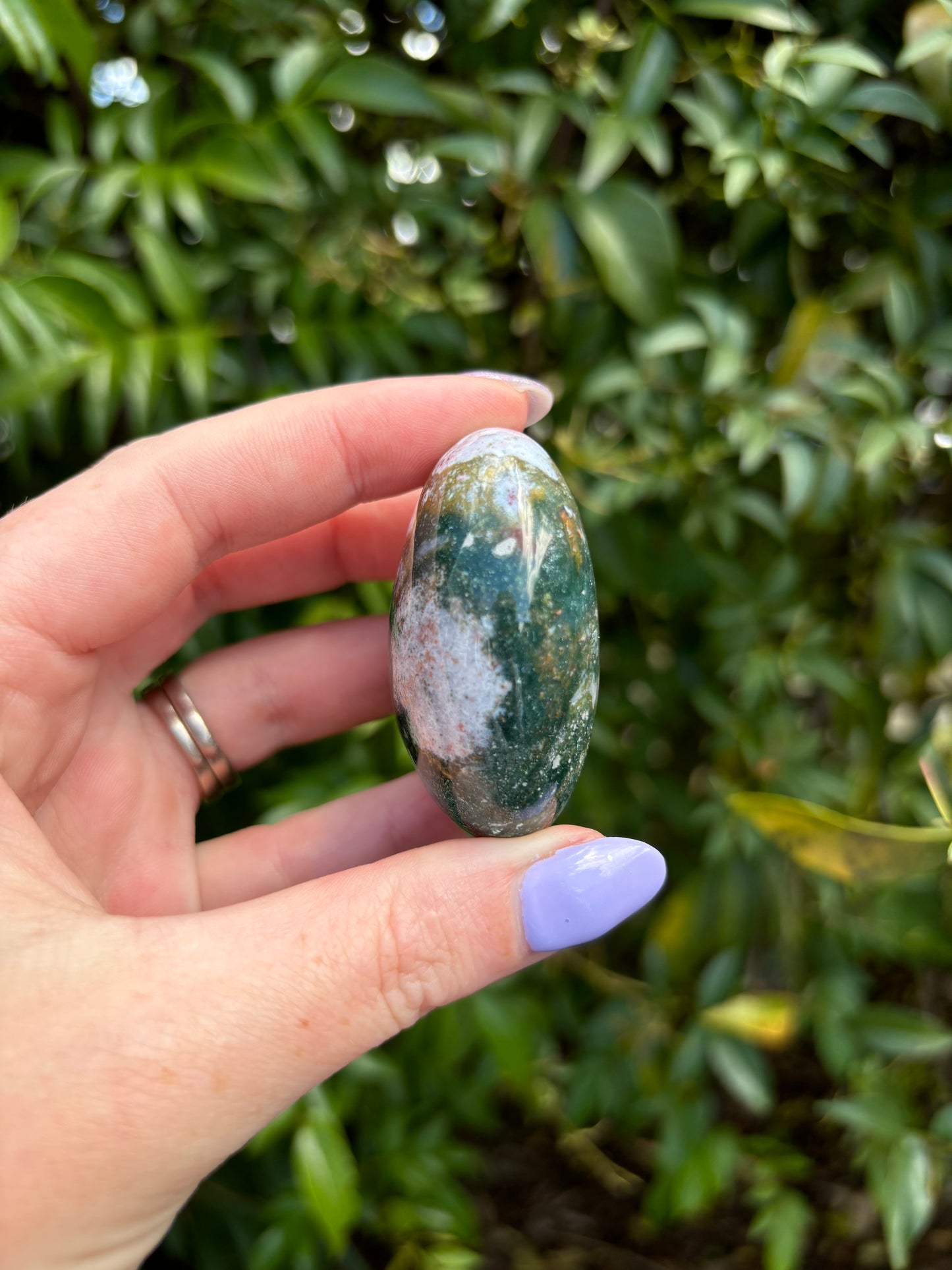 Ocean Jasper Palm Stone C