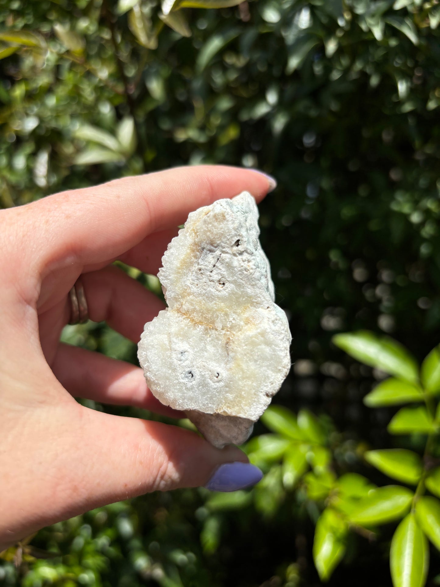 Quartz Stalactite Cluster Piece B