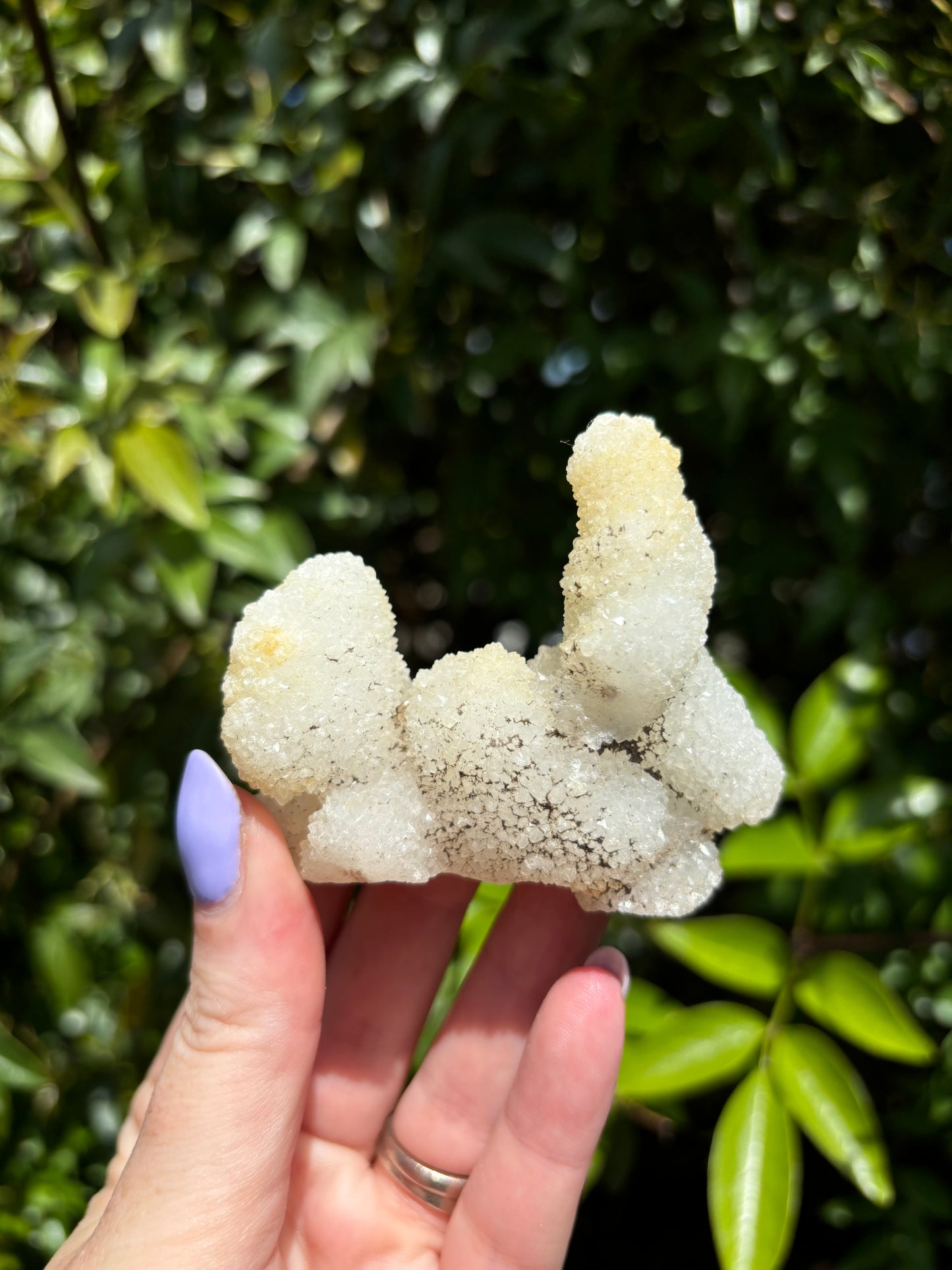 Quartz Stalactite Cluster Piece C