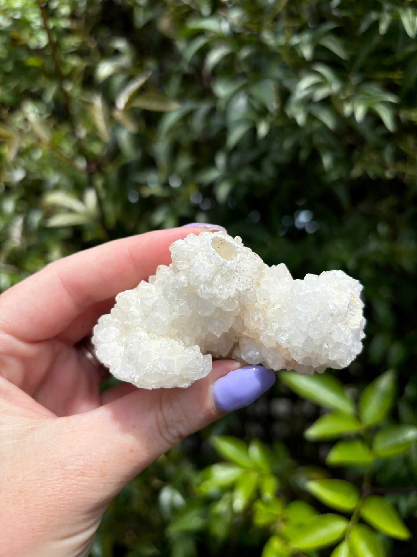 Quartz Stalactite Cluster Piece D