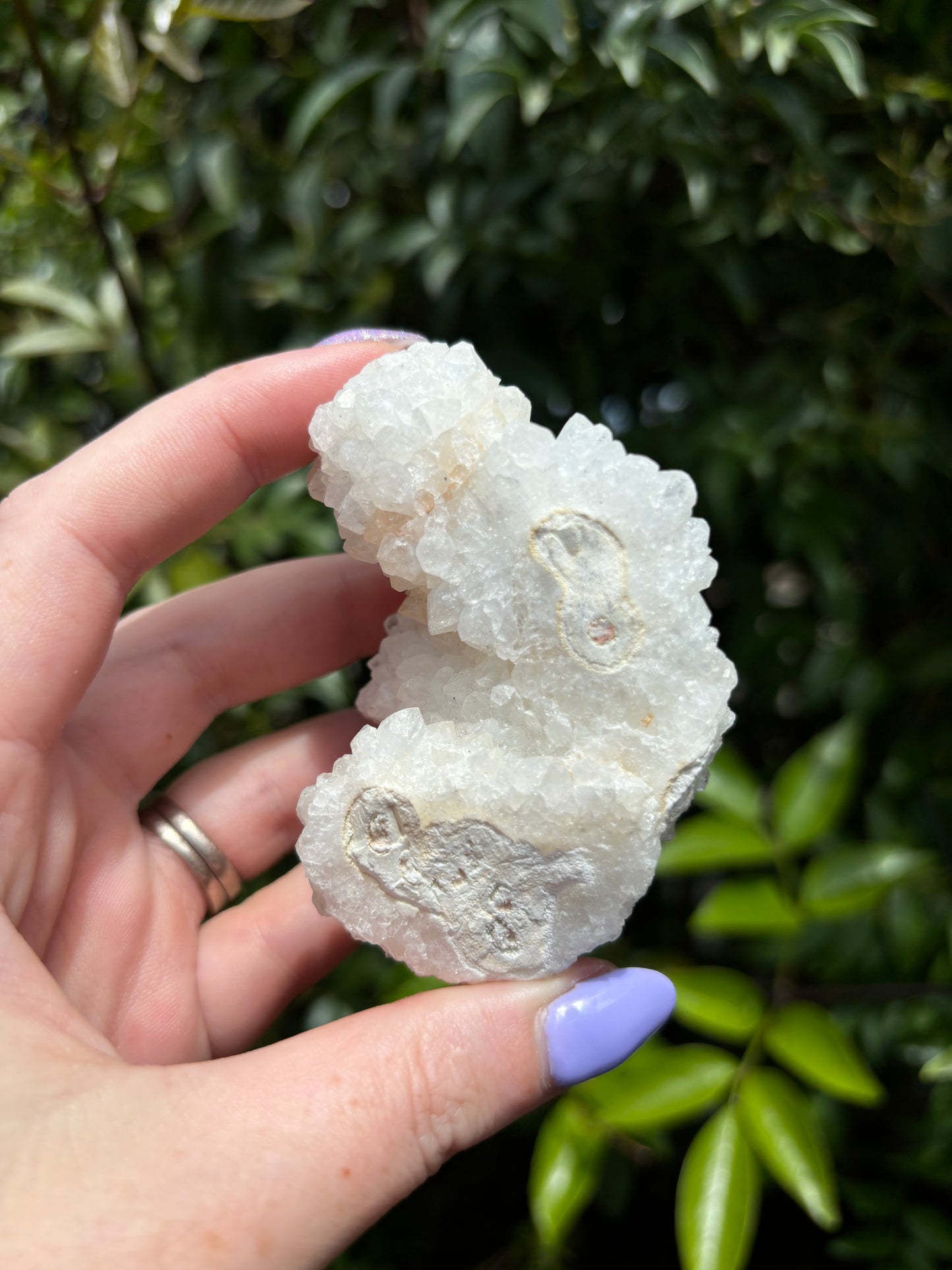 Quartz Stalactite Cluster Piece D