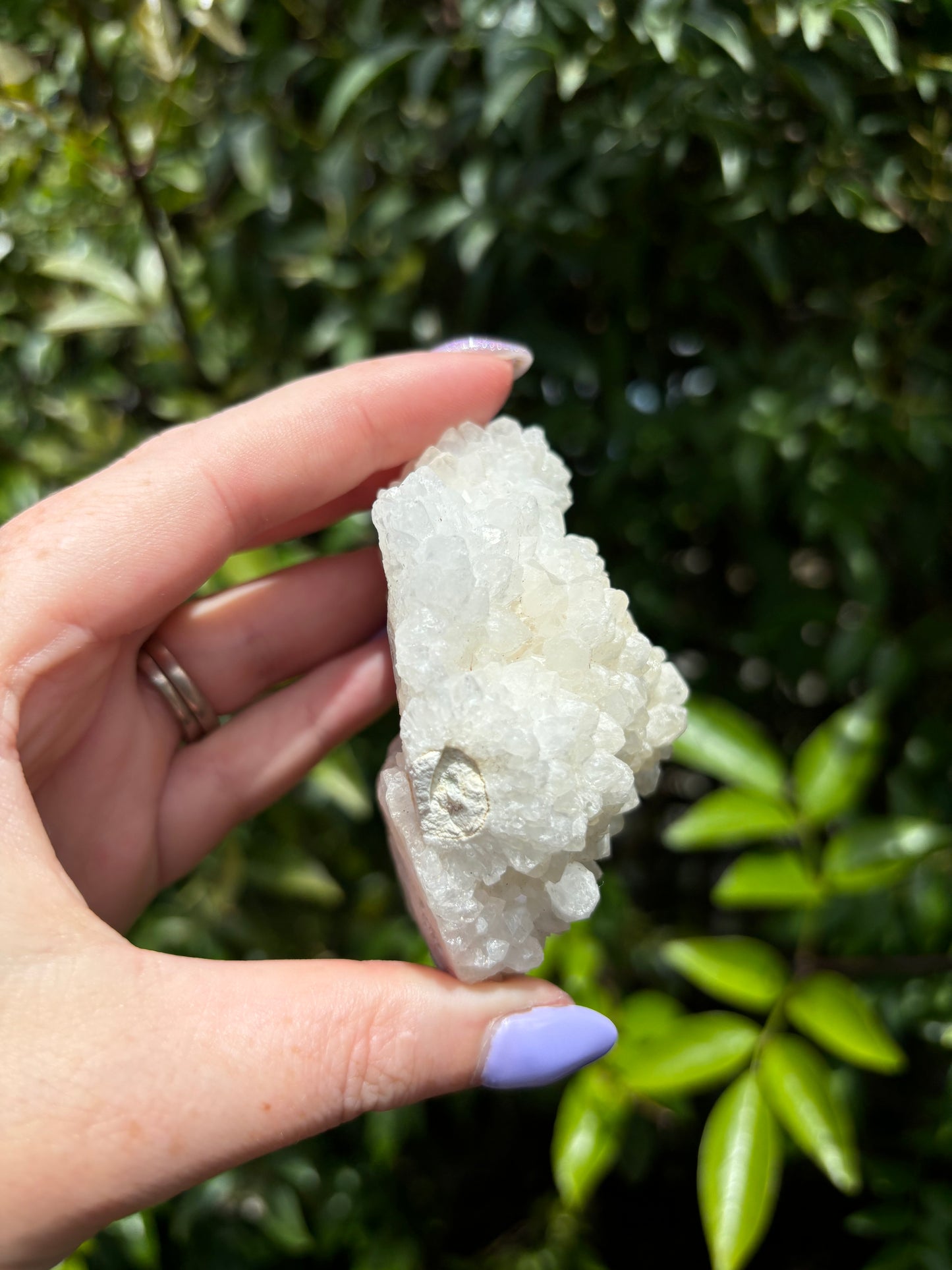 Quartz Stalactite Cluster Piece D