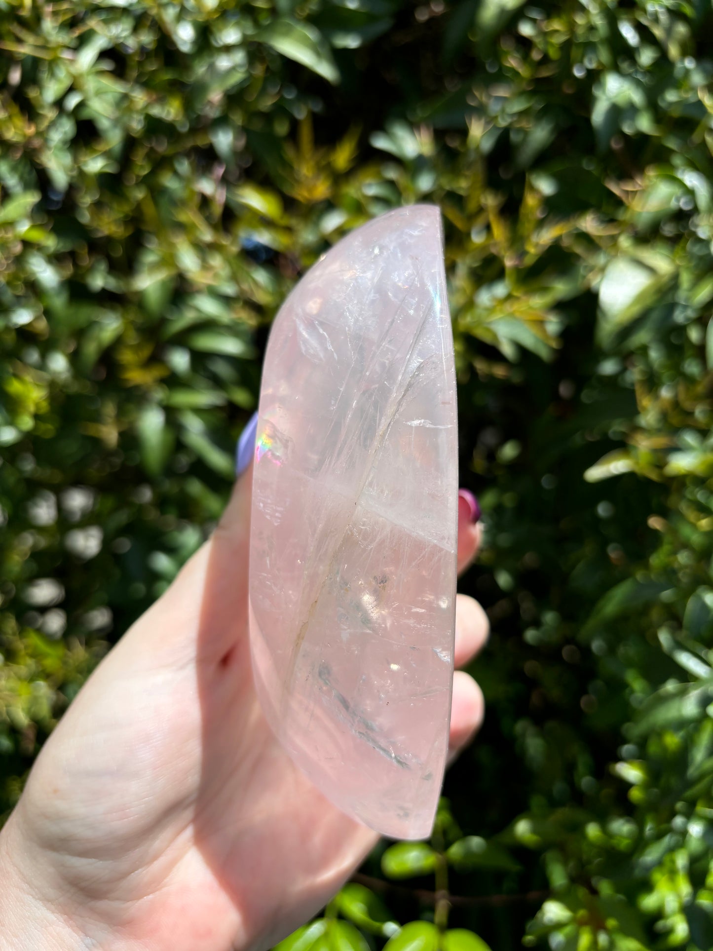 Rose Quartz Polished Bowl B