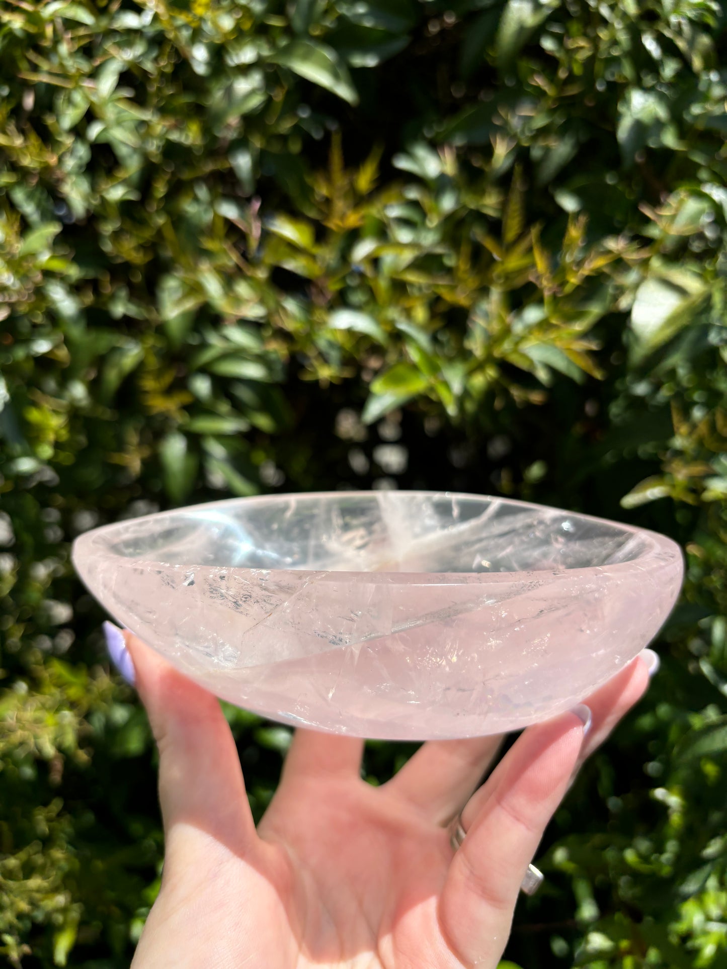 Rose Quartz Polished Bowl B