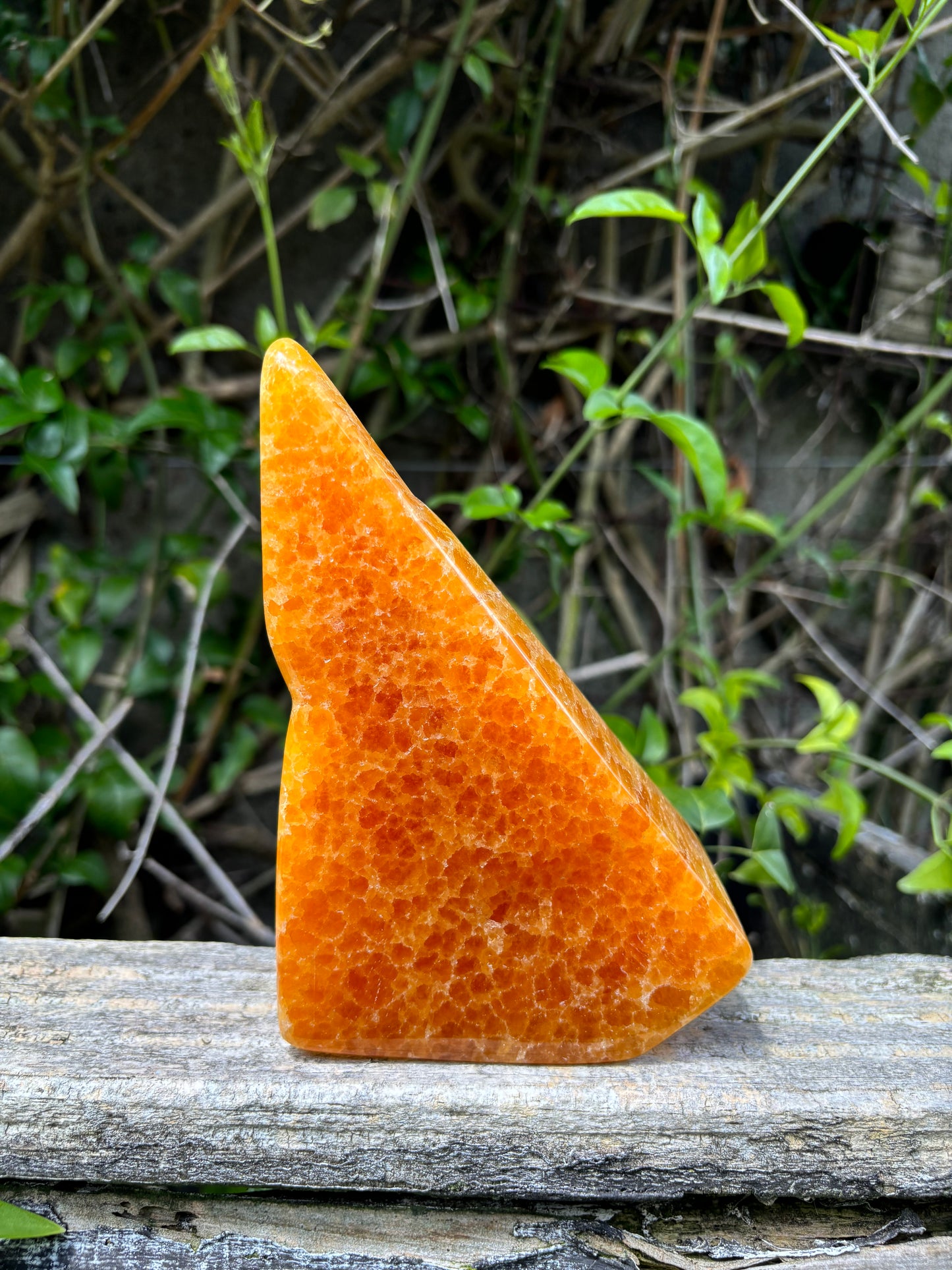 Orange Calcite Polished Free Form Piece C