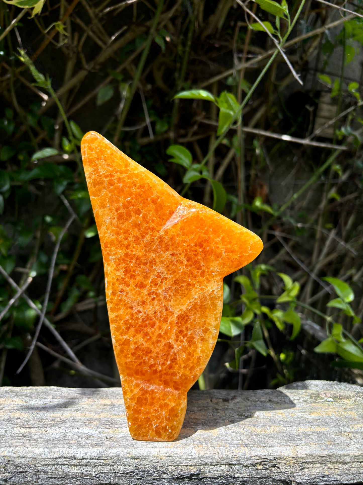 Orange Calcite Polished Free Form Piece B