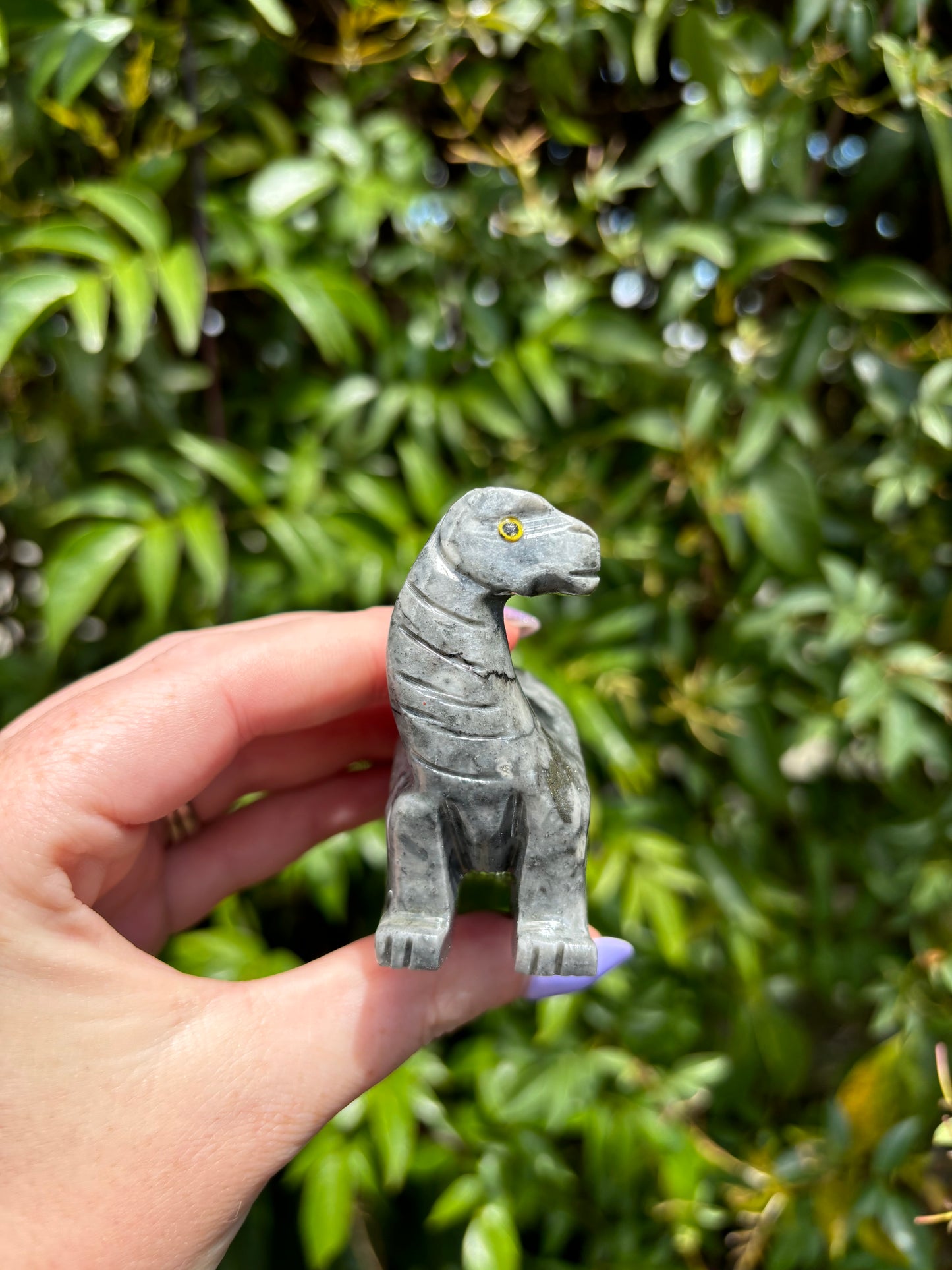 Dinosaur Soapstone XLarge C