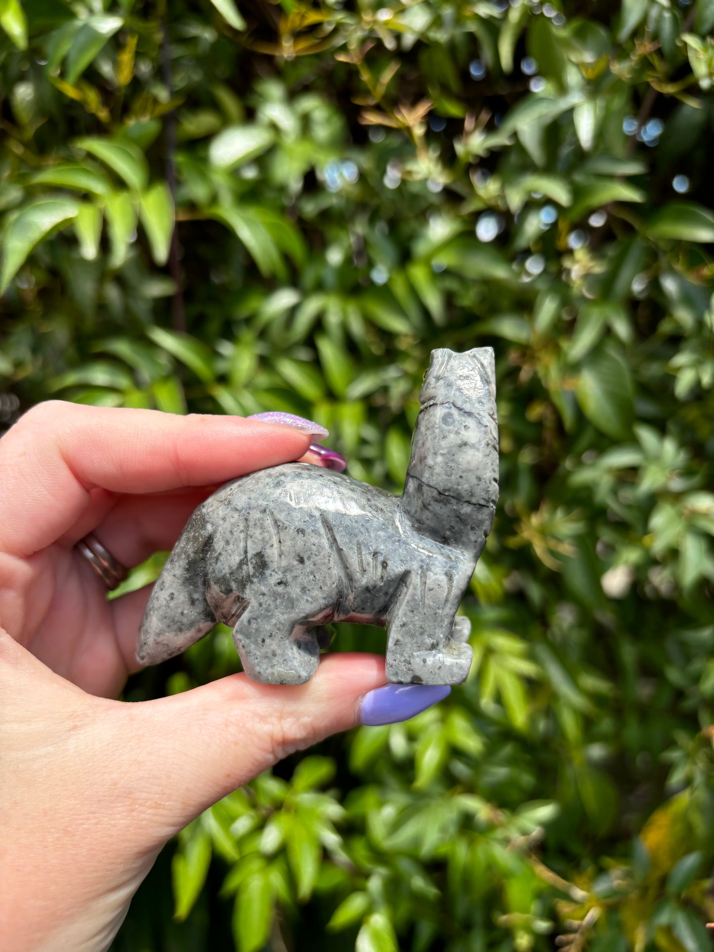 Dinosaur Soapstone XLarge C