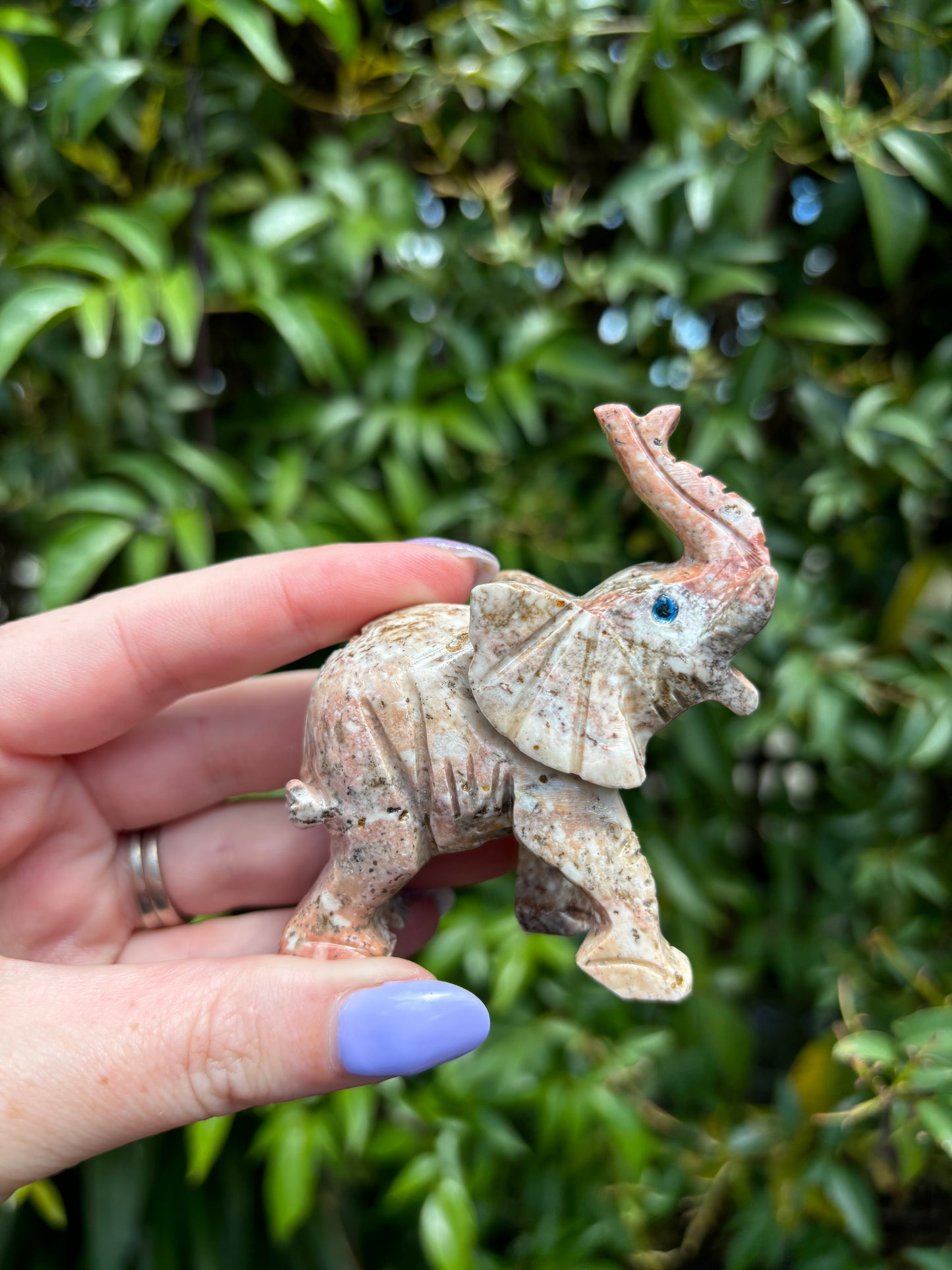 Elephant XLarge Soapstone A