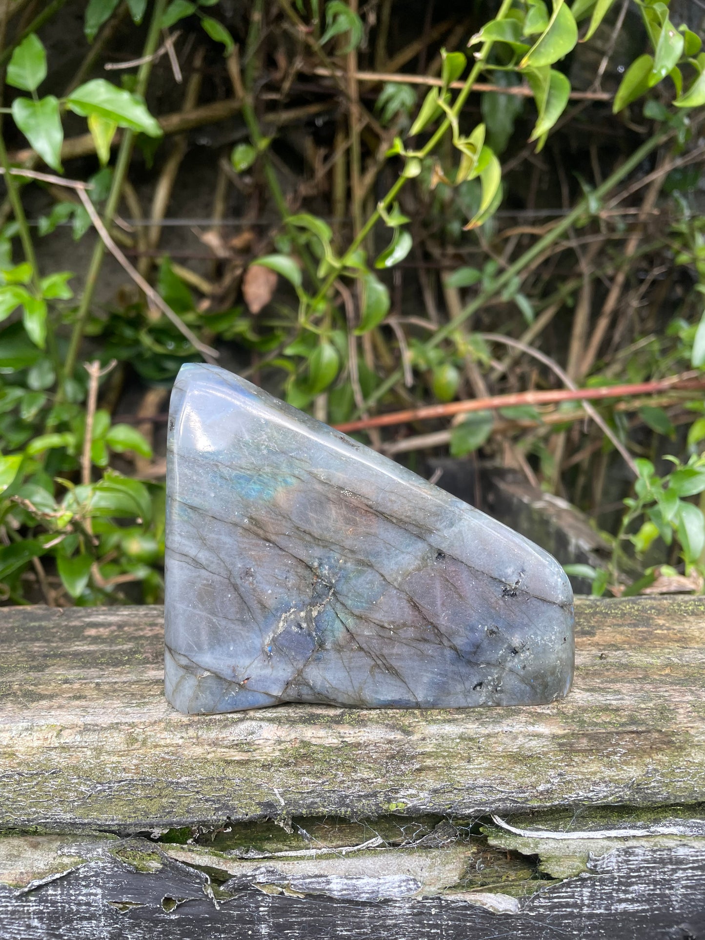 Labradorite Free Form Piece A